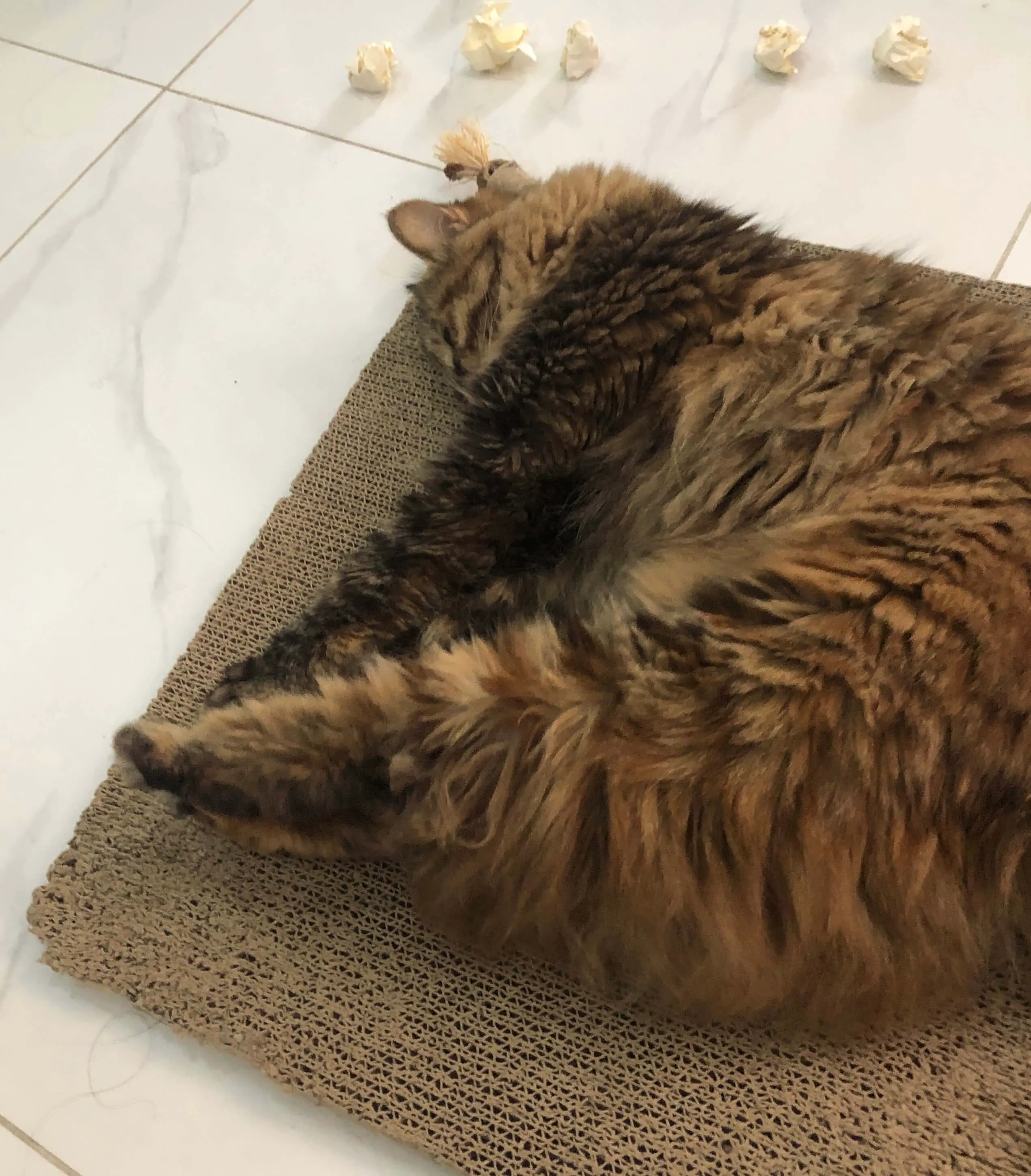 An image to describe post