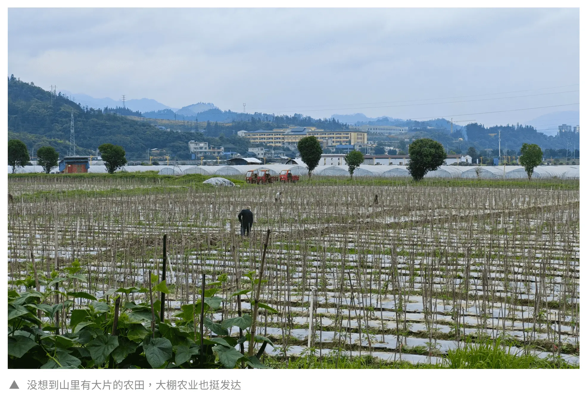 An image to describe post