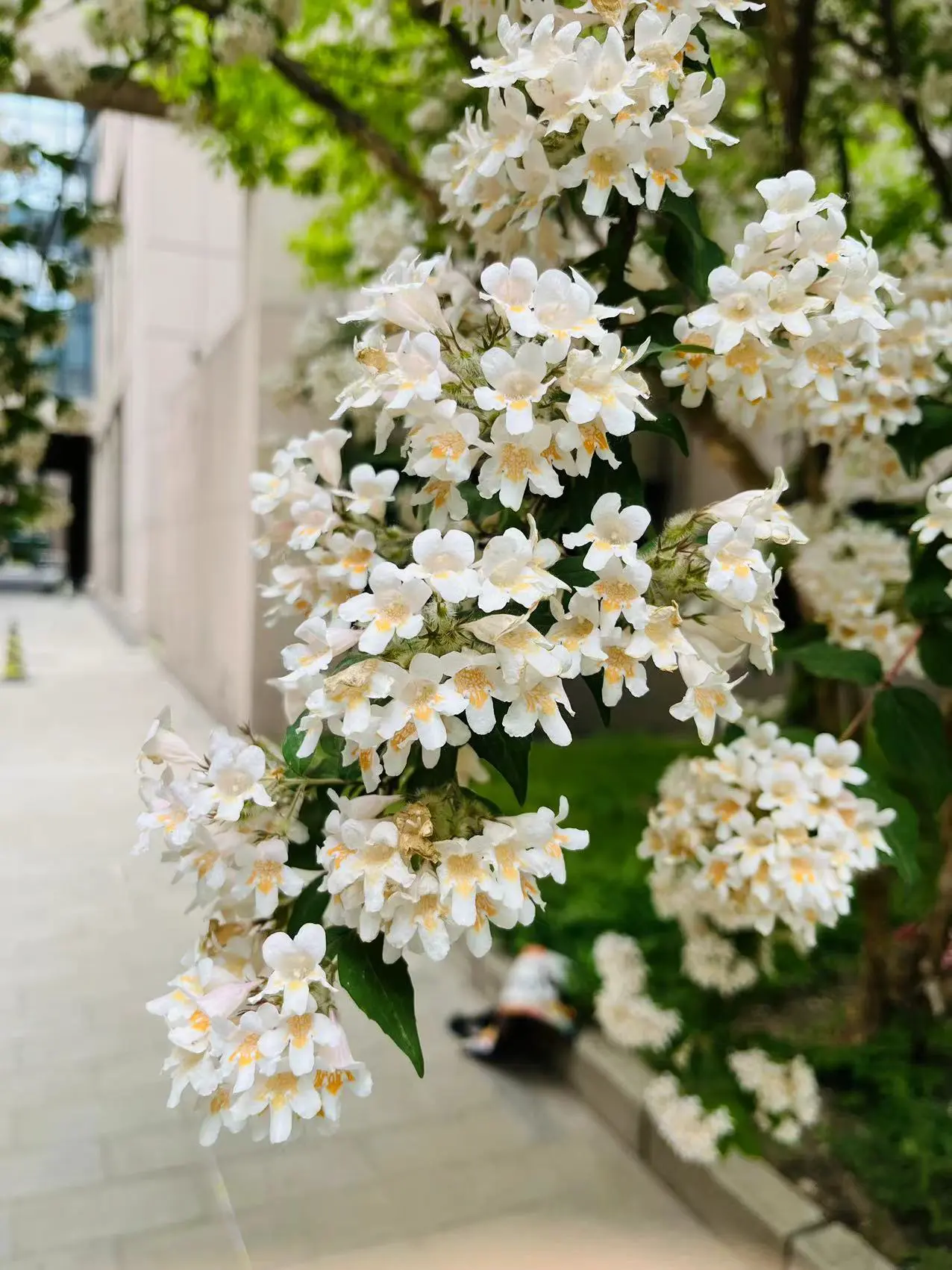 Semi-paranoid #25 Zapier 试用体验