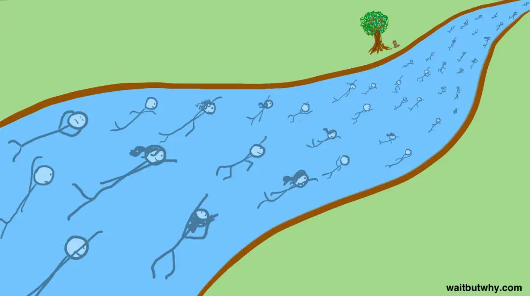 An image to describe post