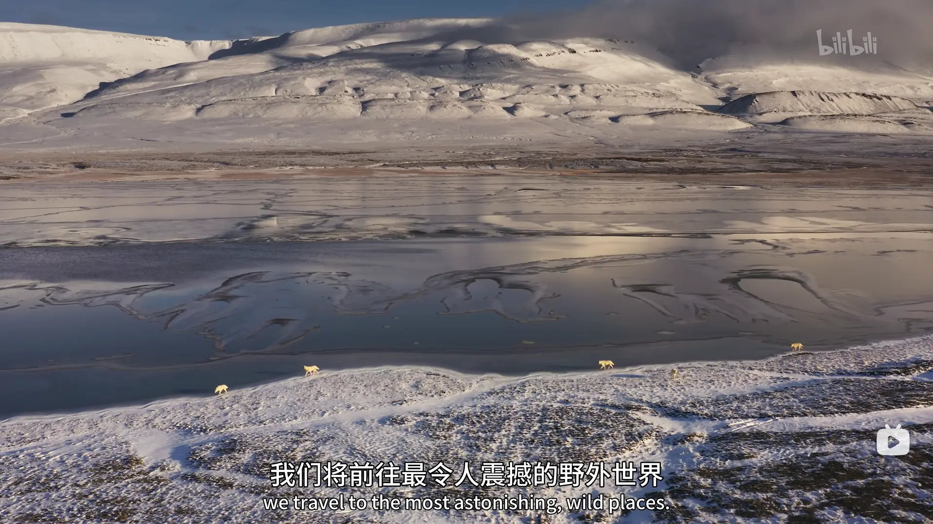 An image to describe post