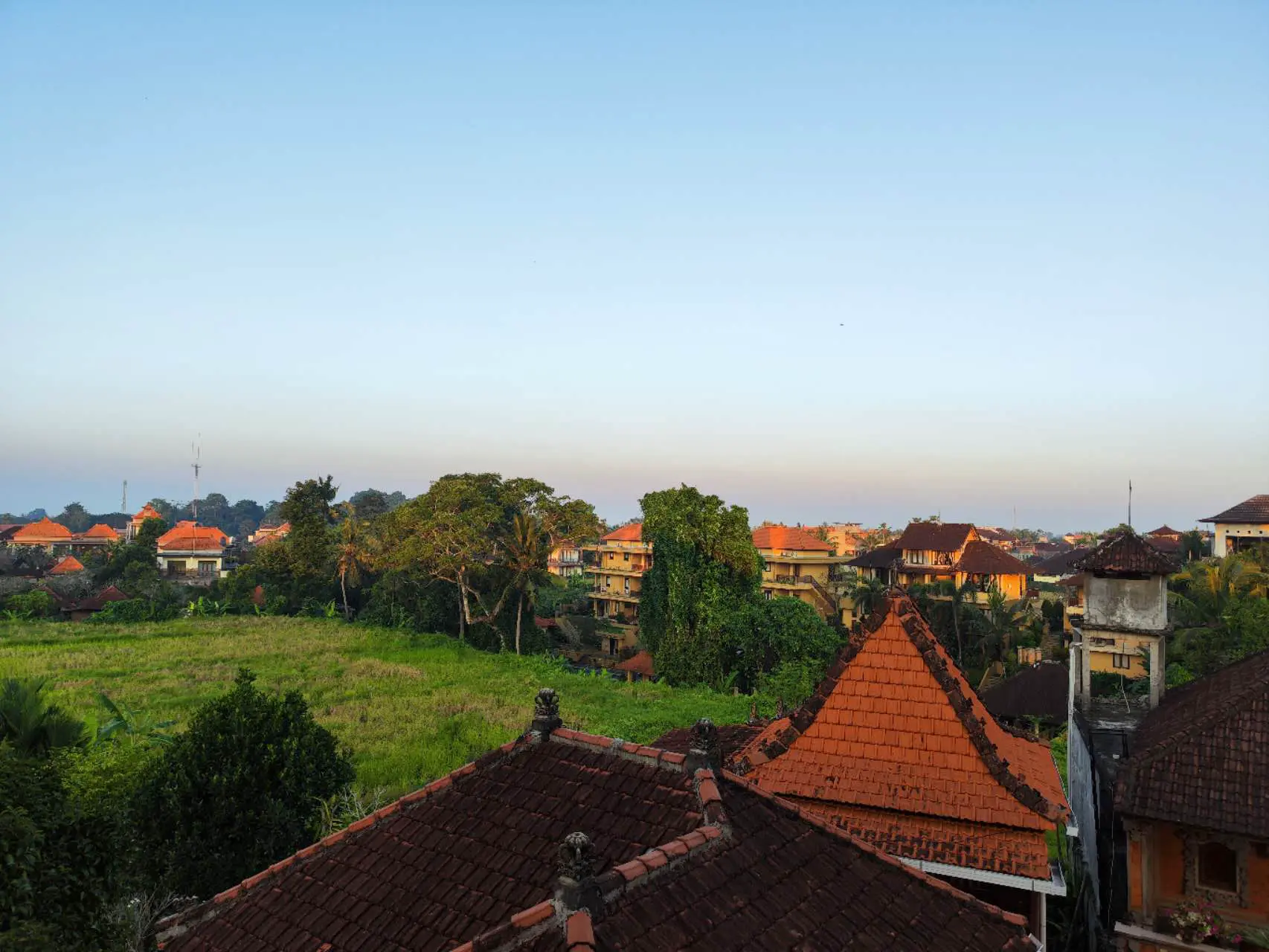 An image to describe post