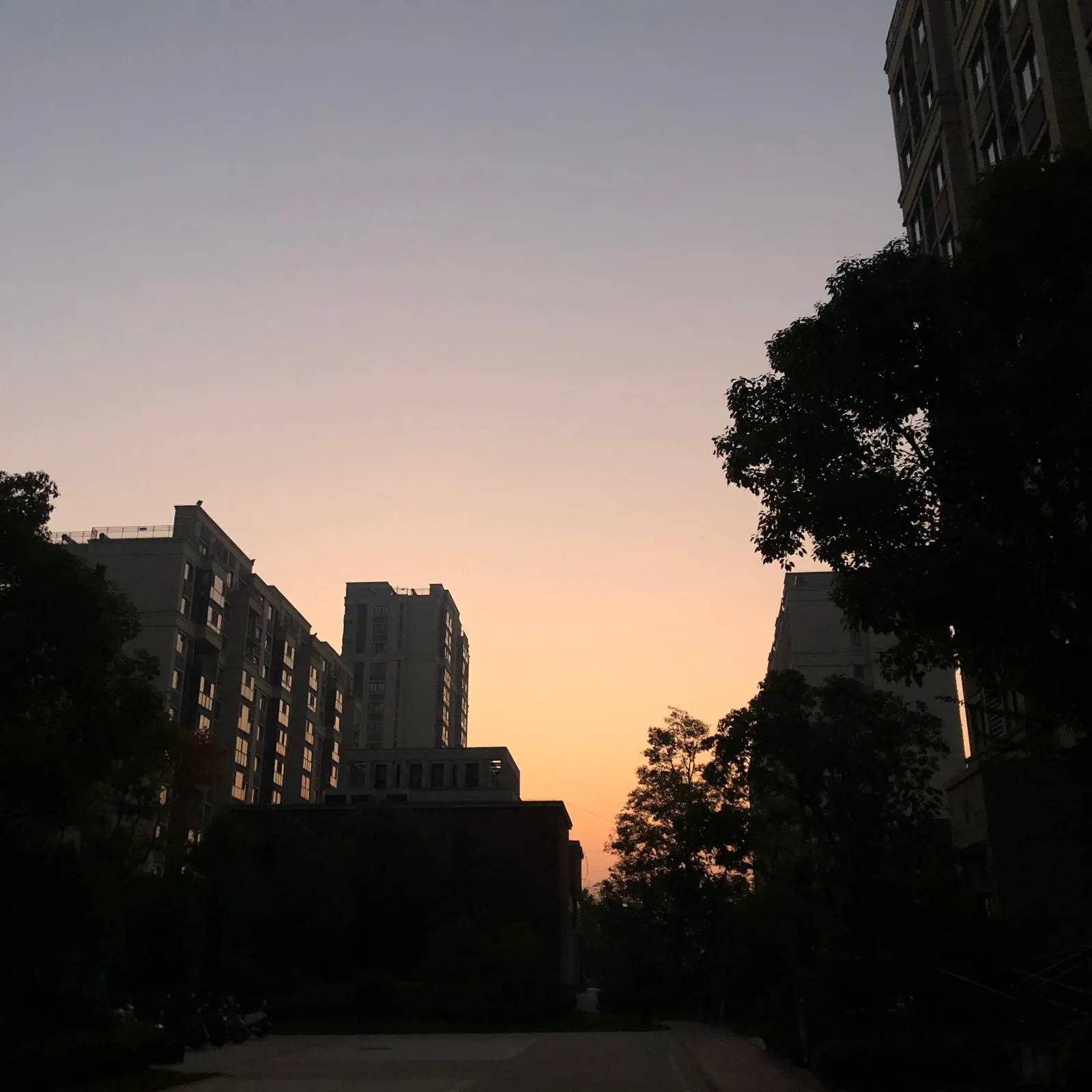 An image to describe post