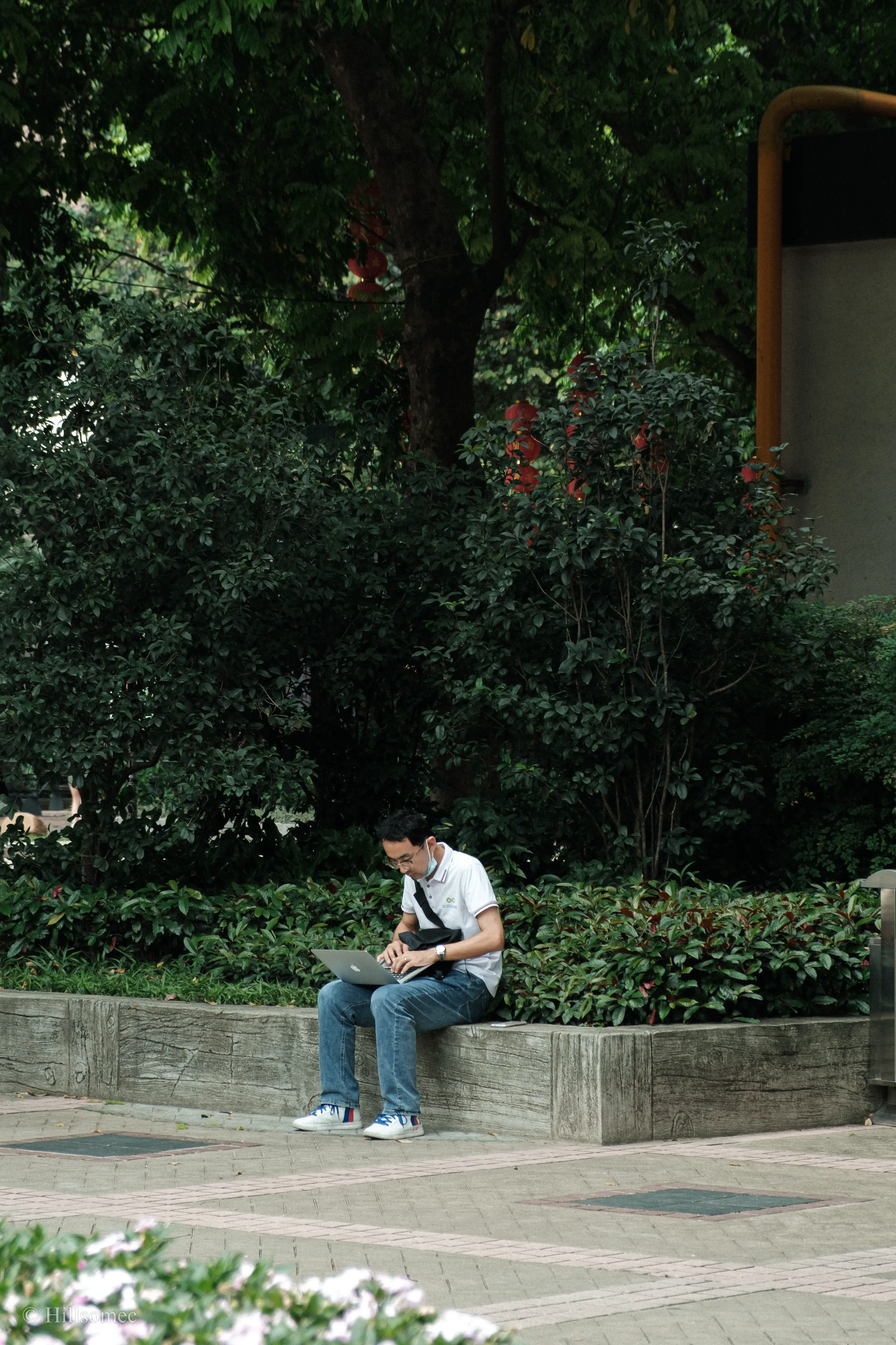 An image to describe post