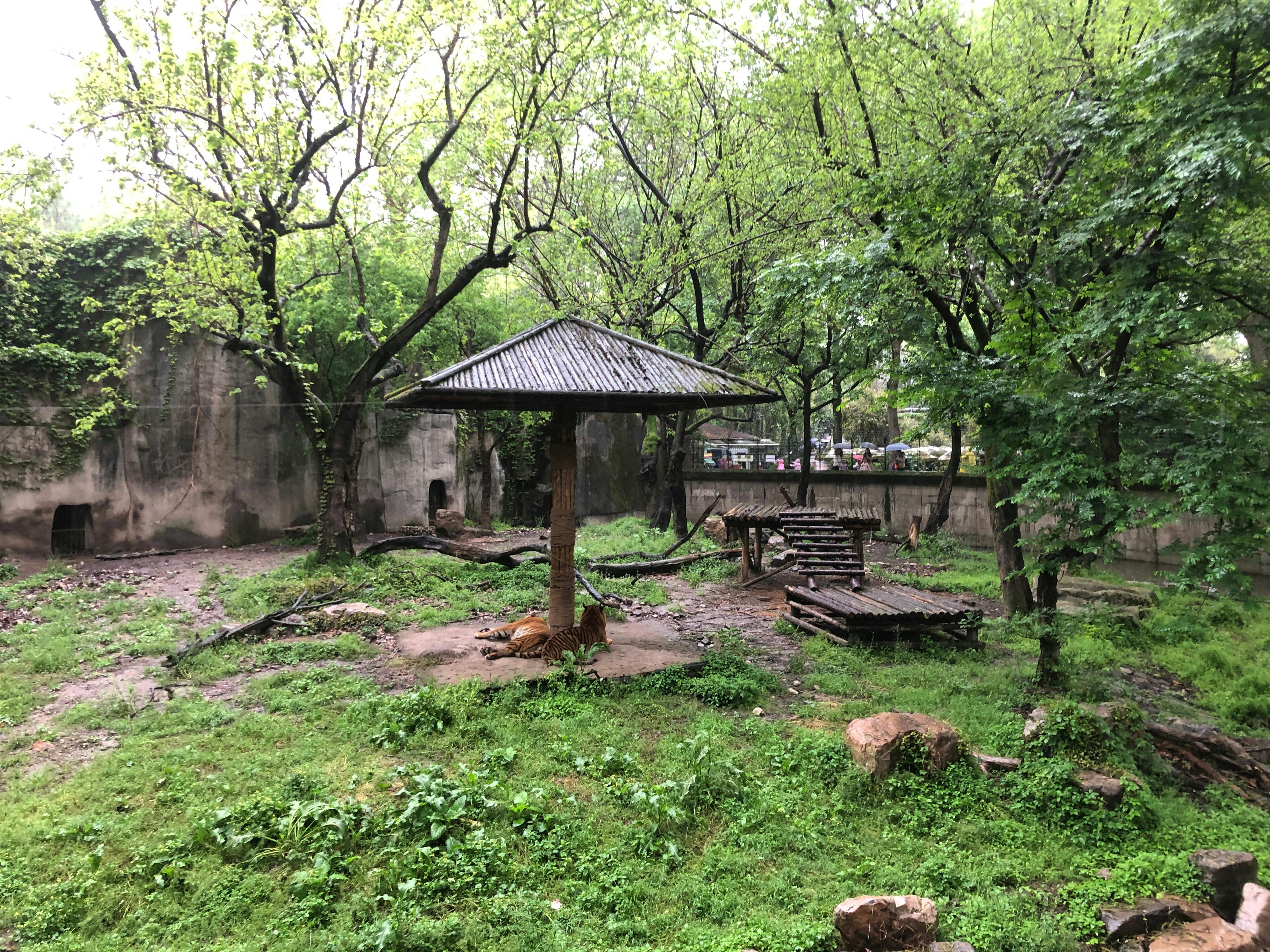 An image to describe post