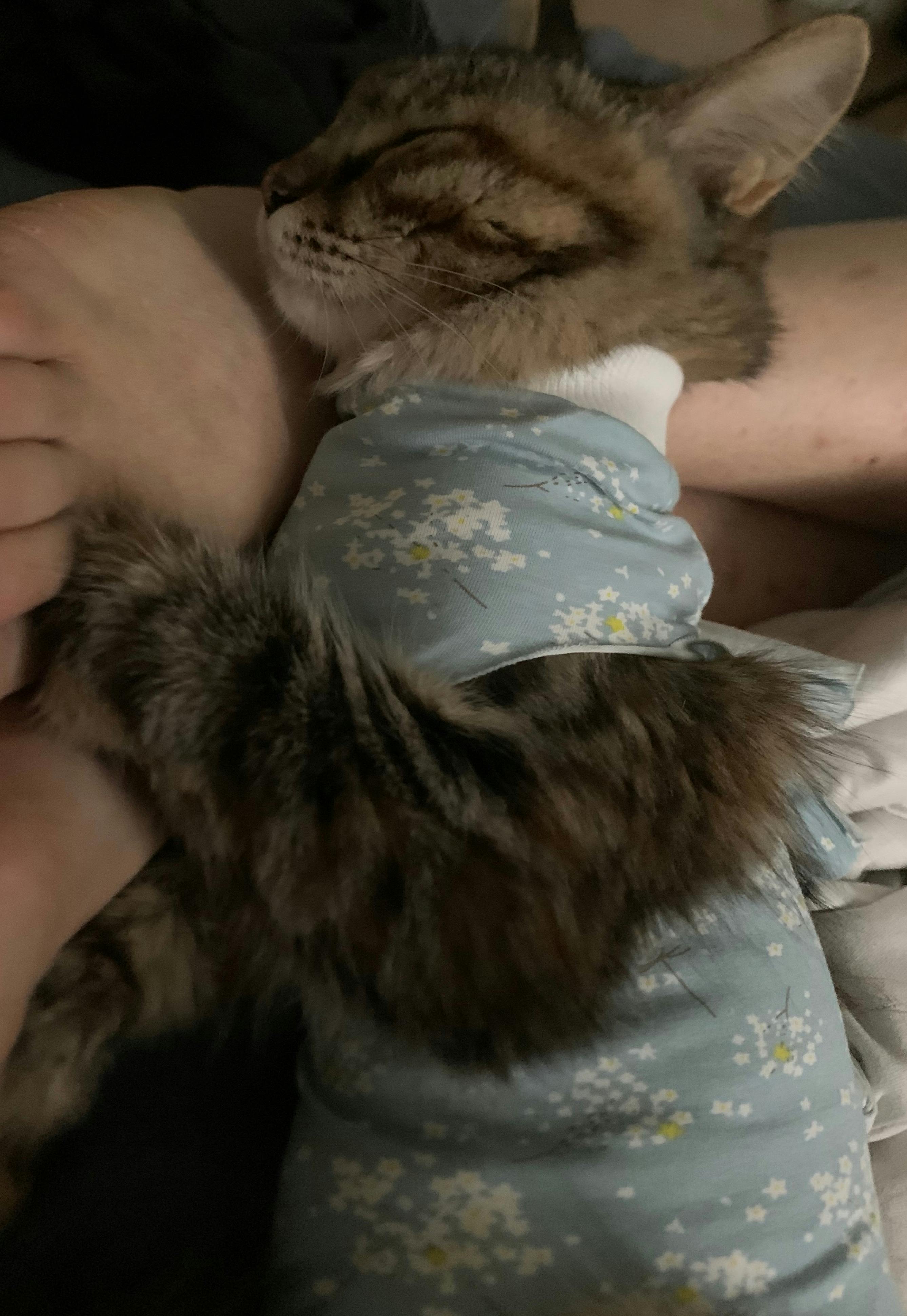 An image to describe post