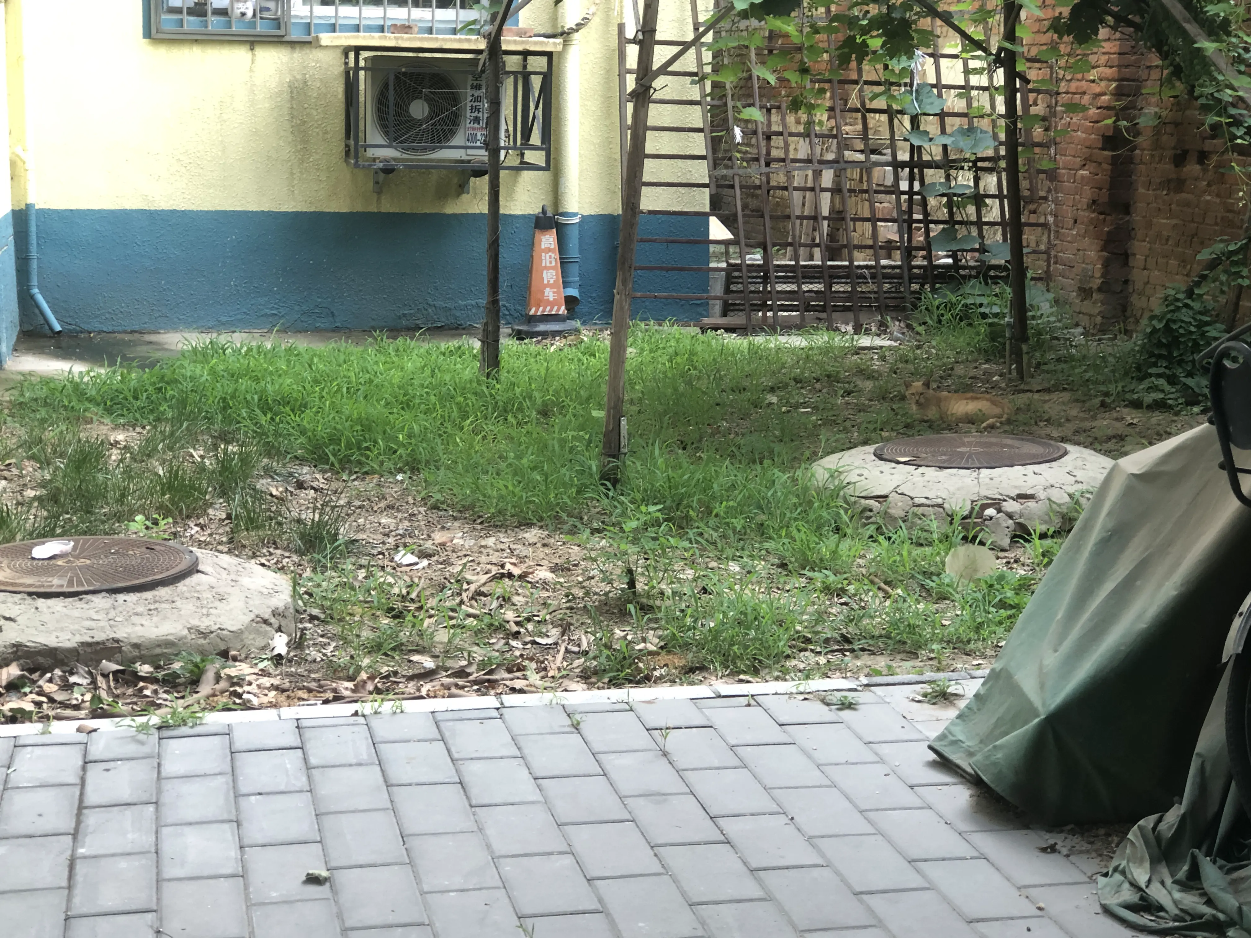 An image to describe post