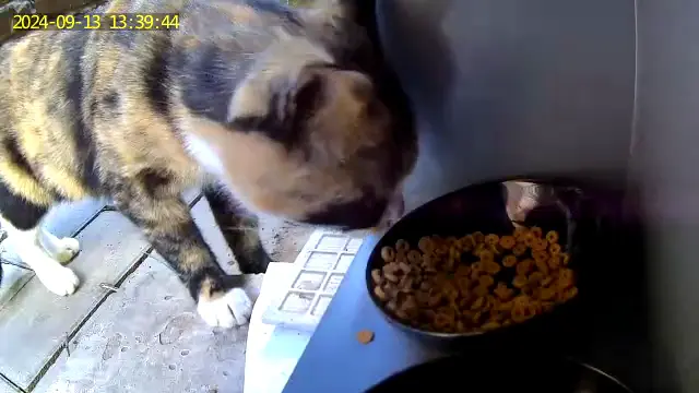 An image to describe post