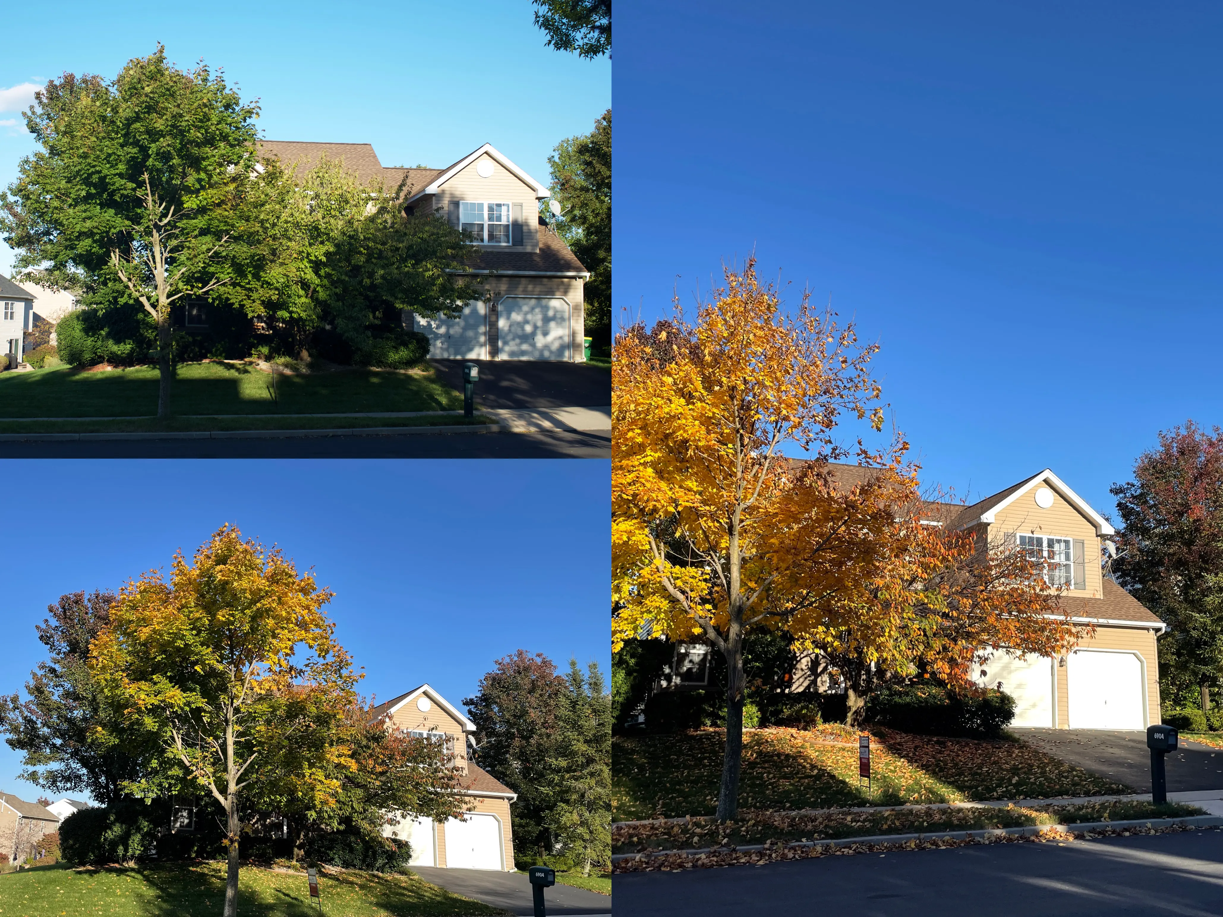 Fall in Pennsylvania 自说自话#87