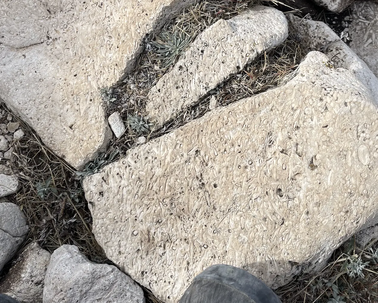 An image to describe post