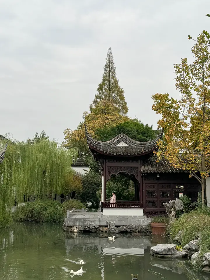 南京Day1｜一路北飞