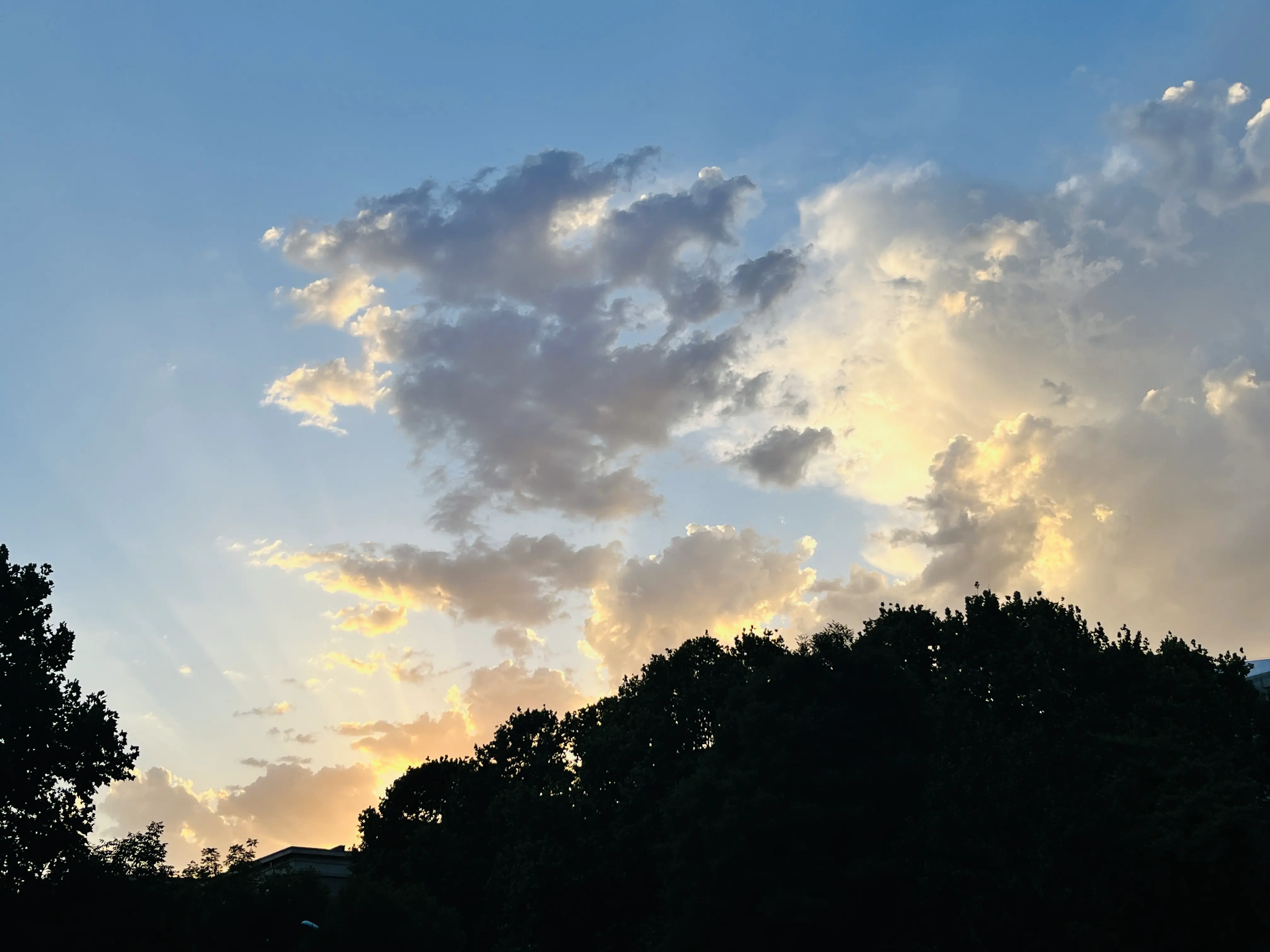 An image to describe post