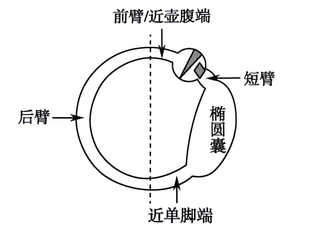 An image to describe post