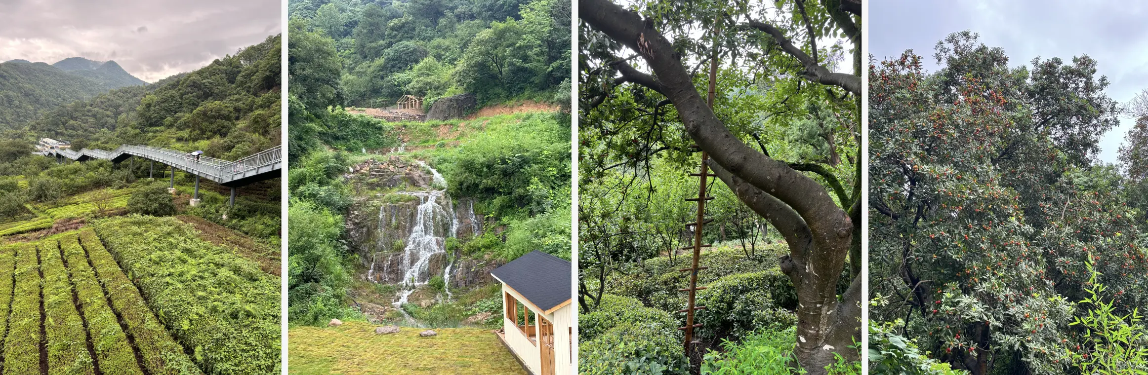 048期：徒步三泉王村