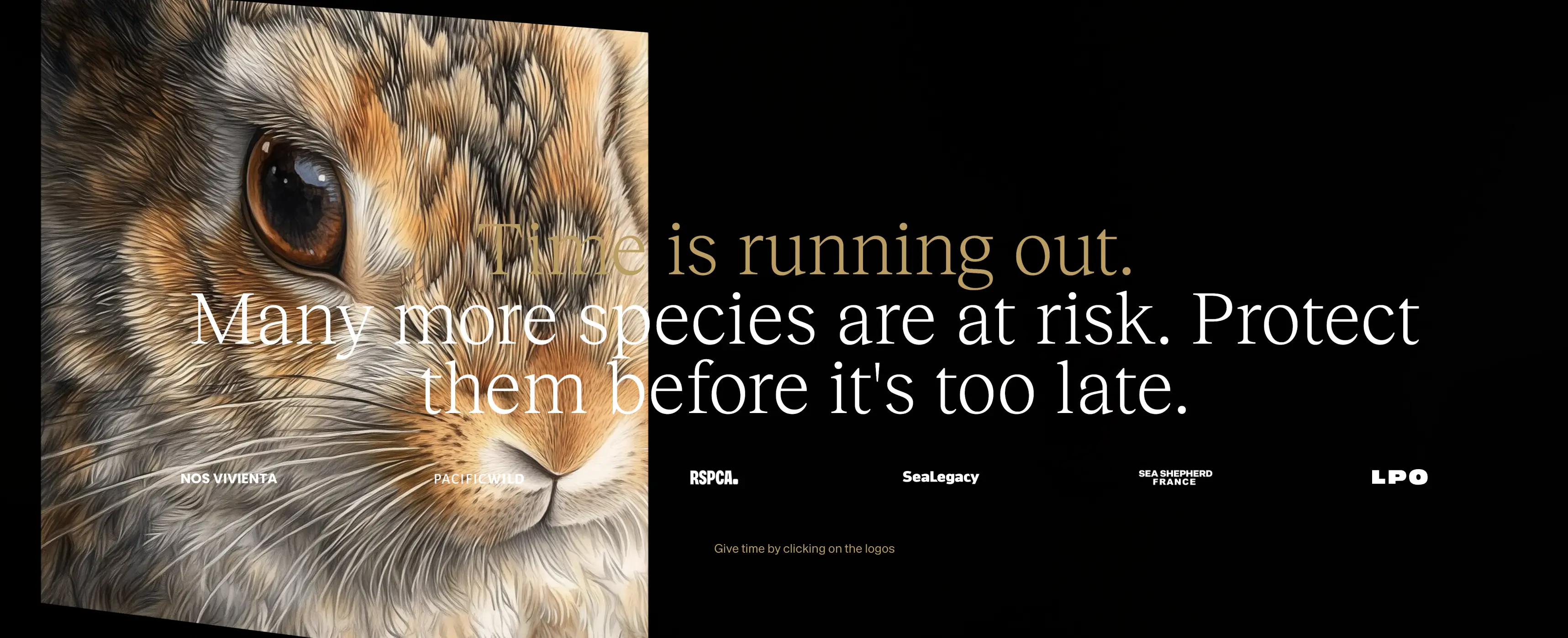 An image to describe post