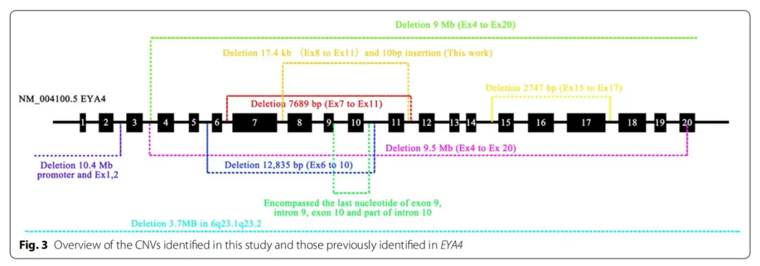 An image to describe post