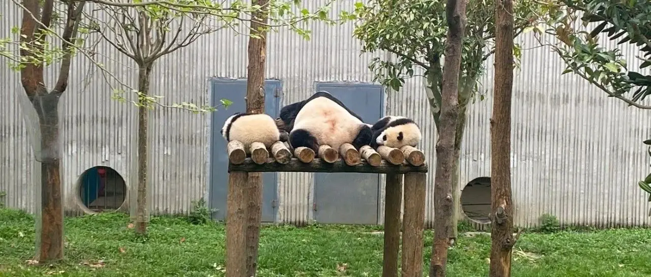 凡尔赛一下：世界越来越虚无，我的人生却越过越充实