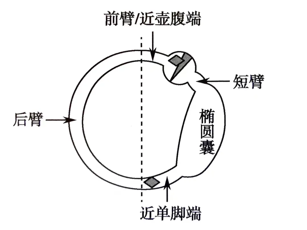 An image to describe post