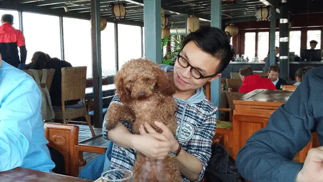 An image to describe post