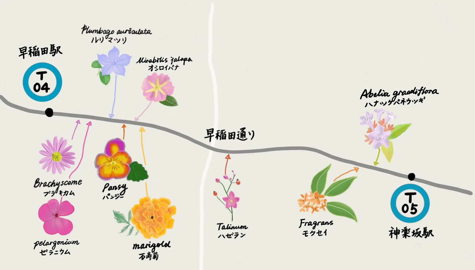 An image to describe post