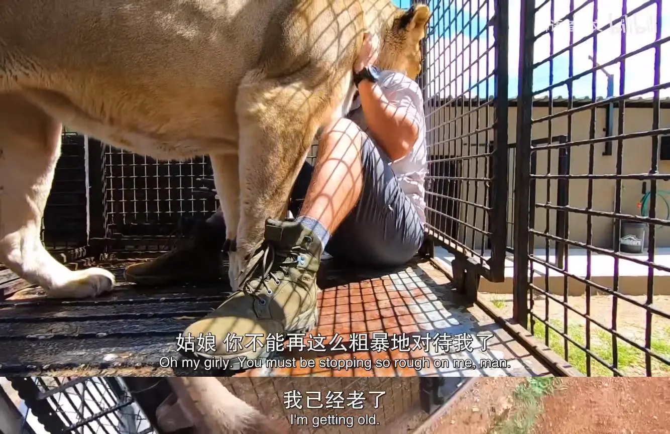 An image to describe post