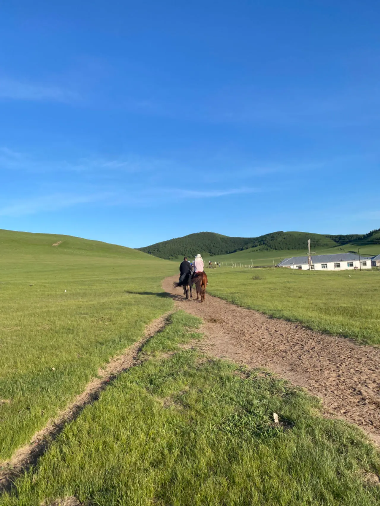 An image to describe post