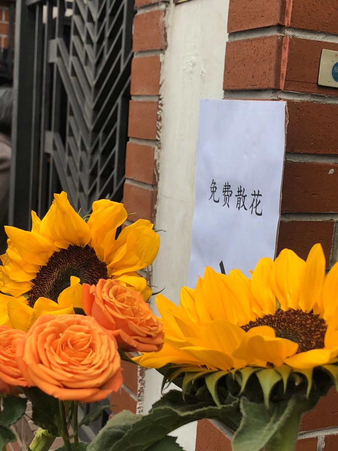 An image to describe post