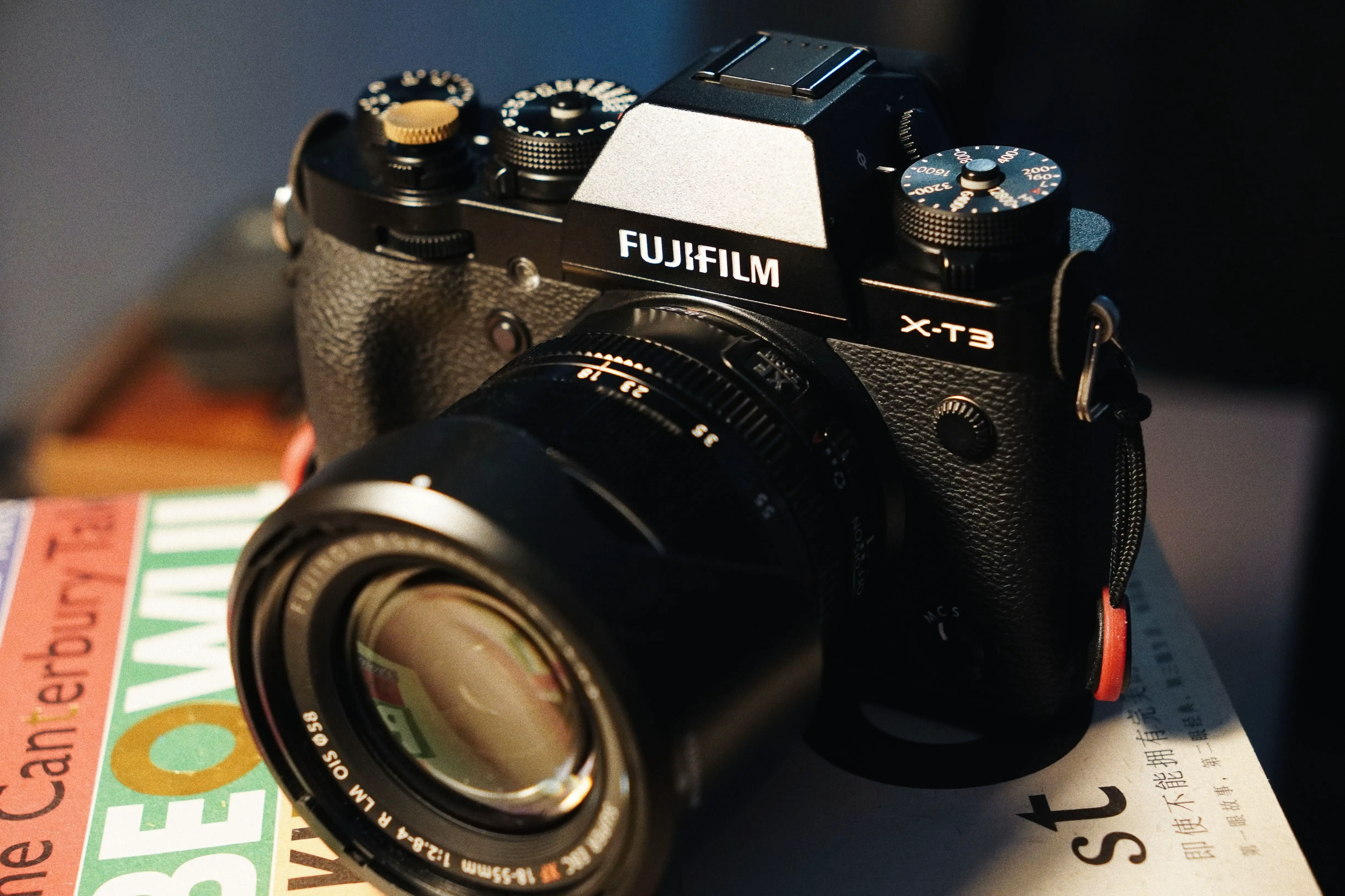 我脑袋里的怪东西 14 - 杂七杂八