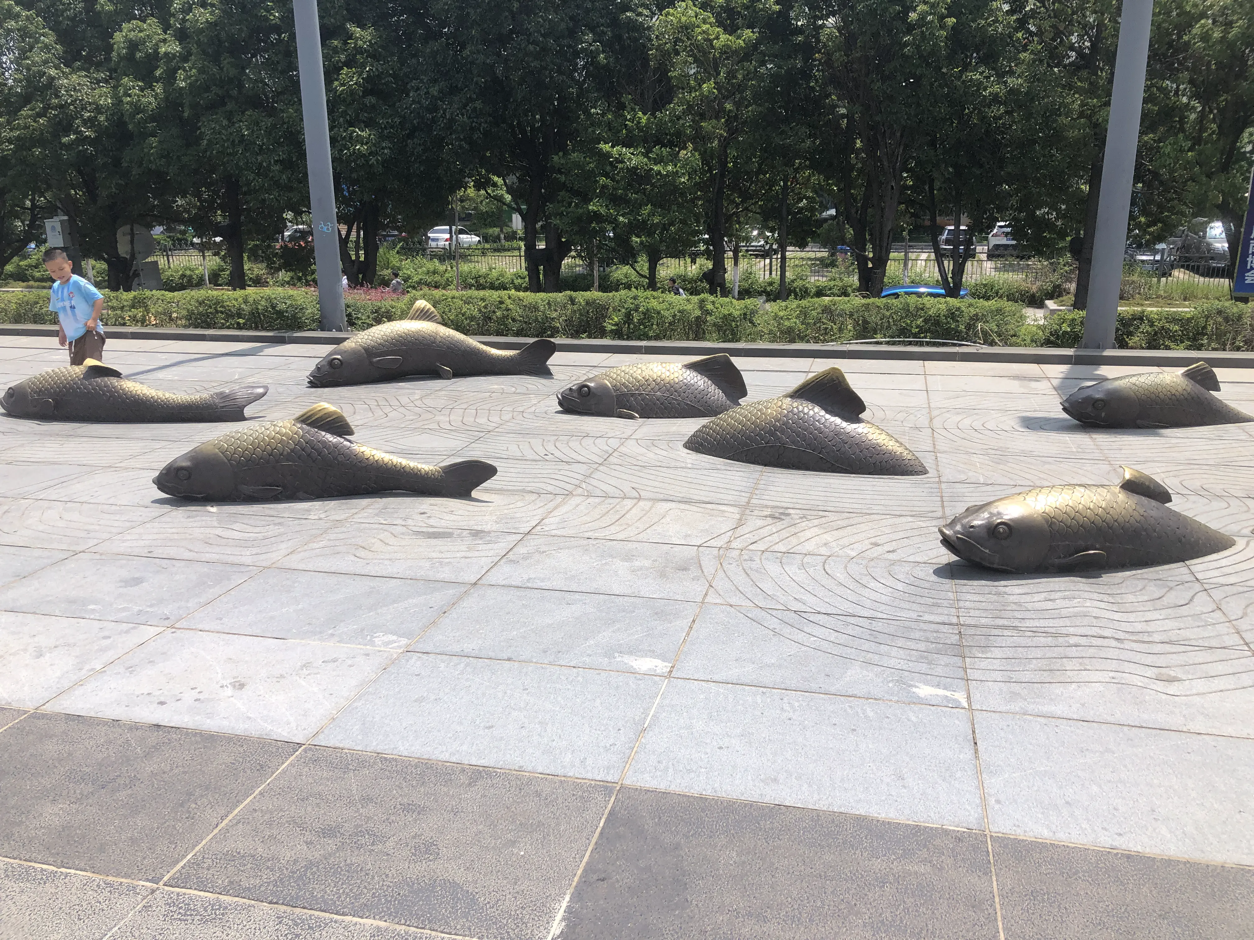 An image to describe post