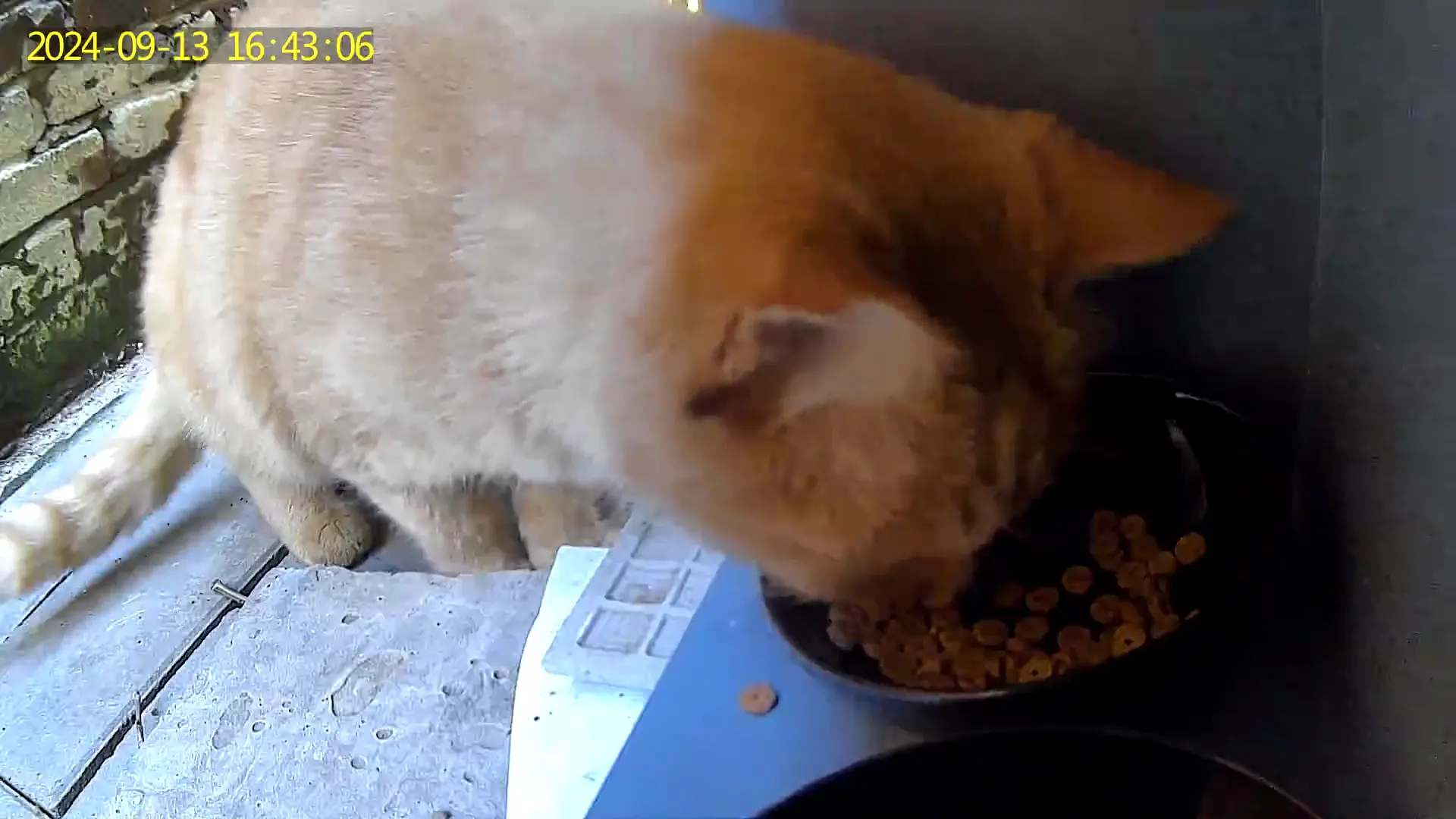 An image to describe post