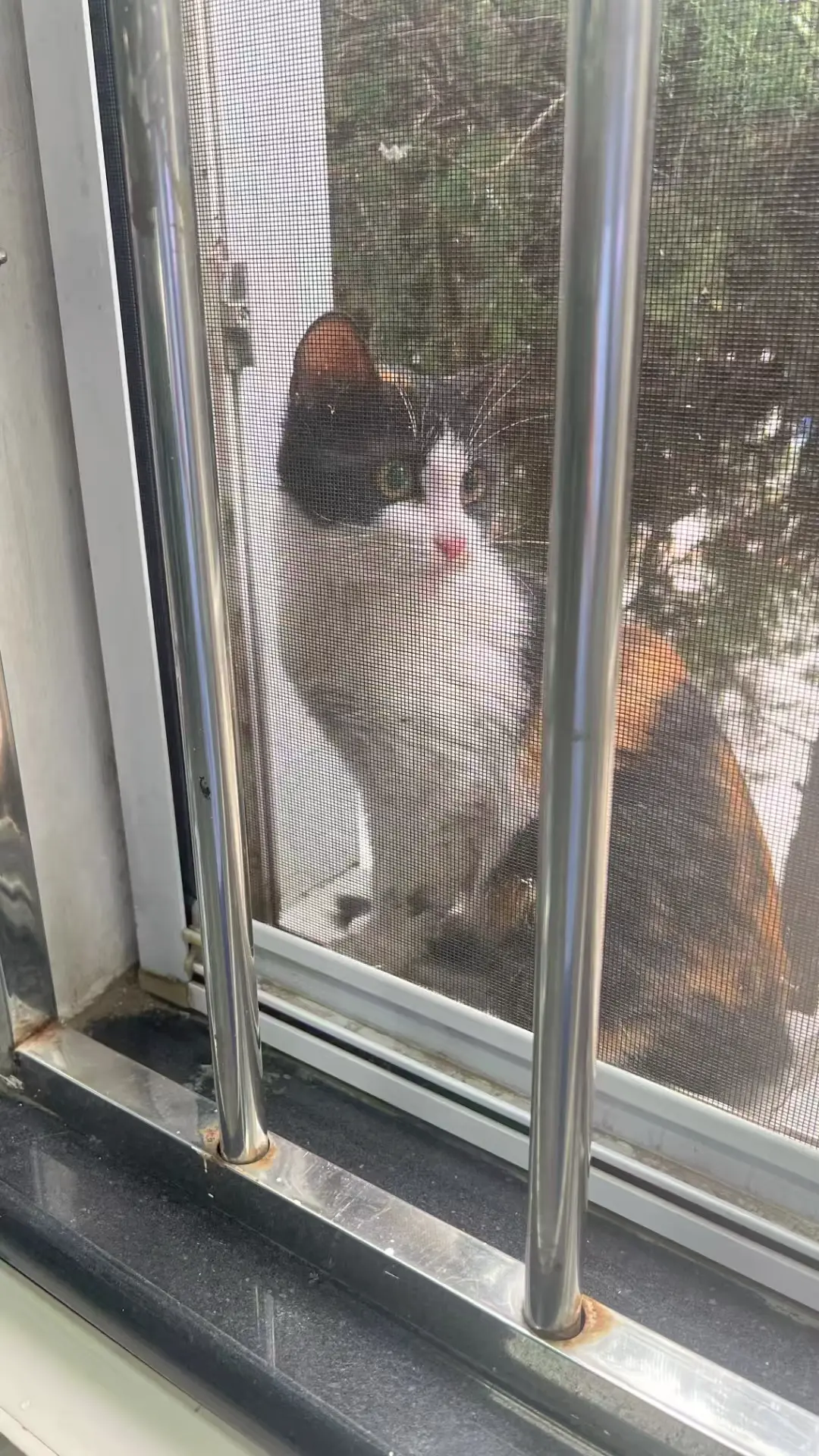 An image to describe post