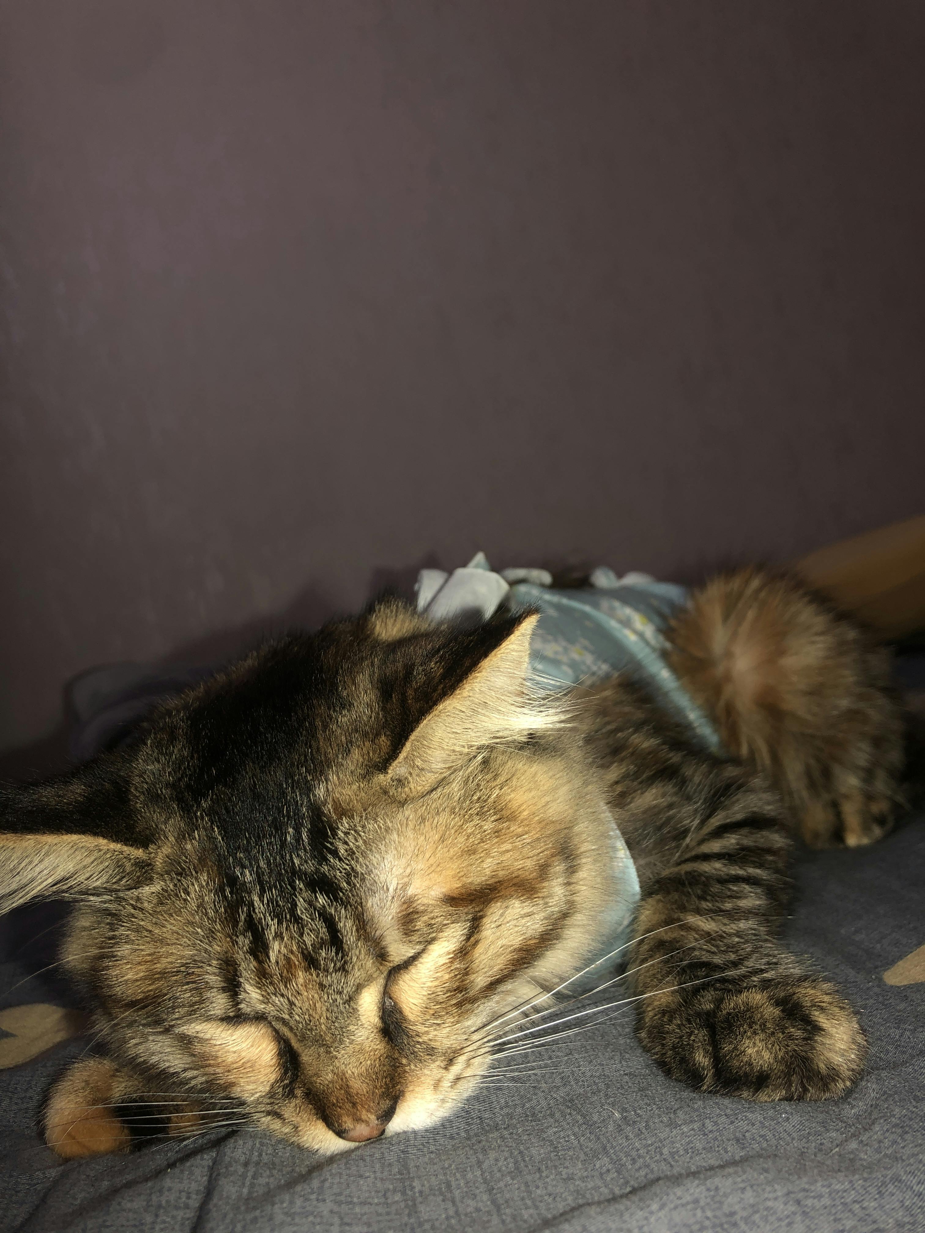 An image to describe post