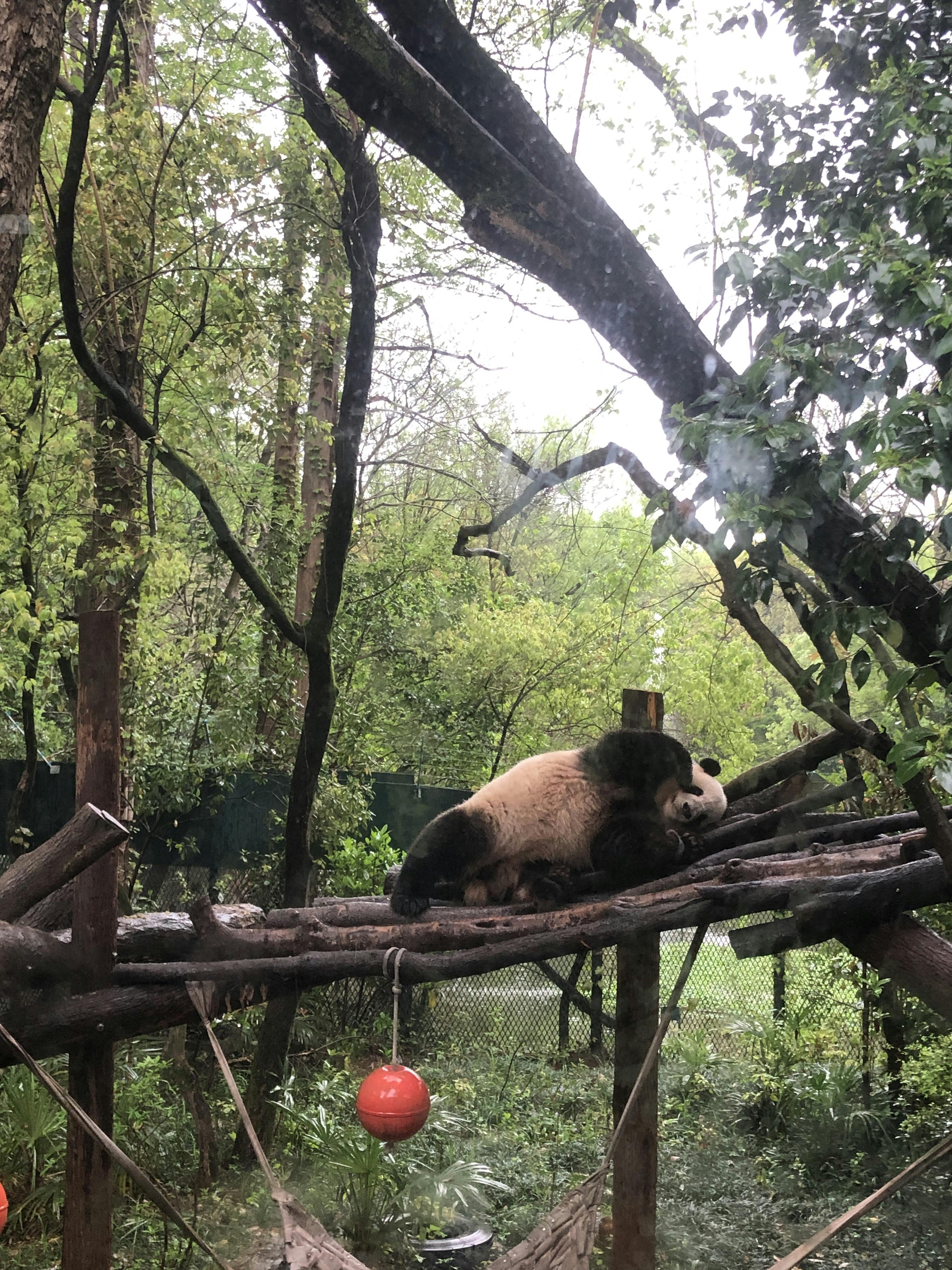 An image to describe post