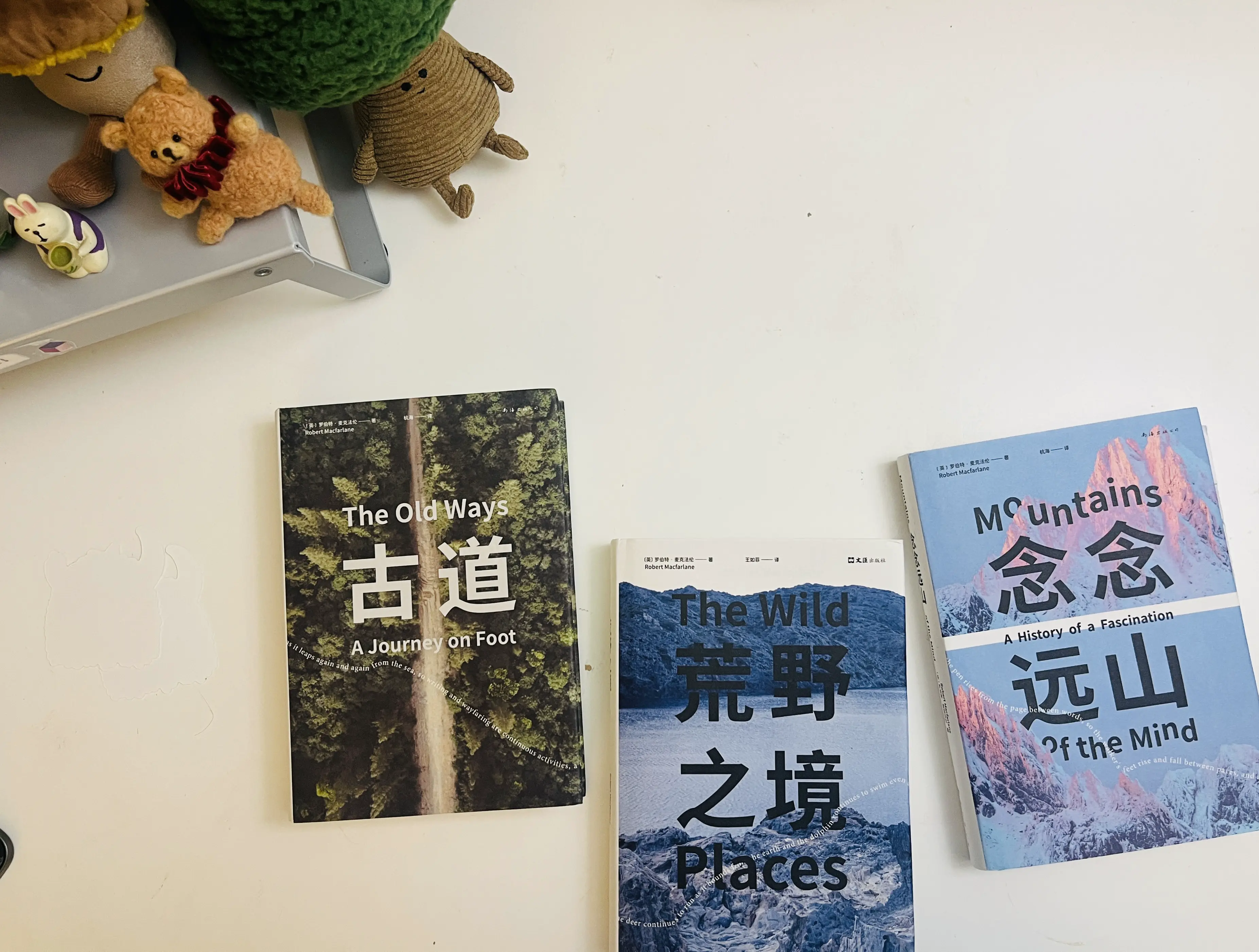 An image to describe post