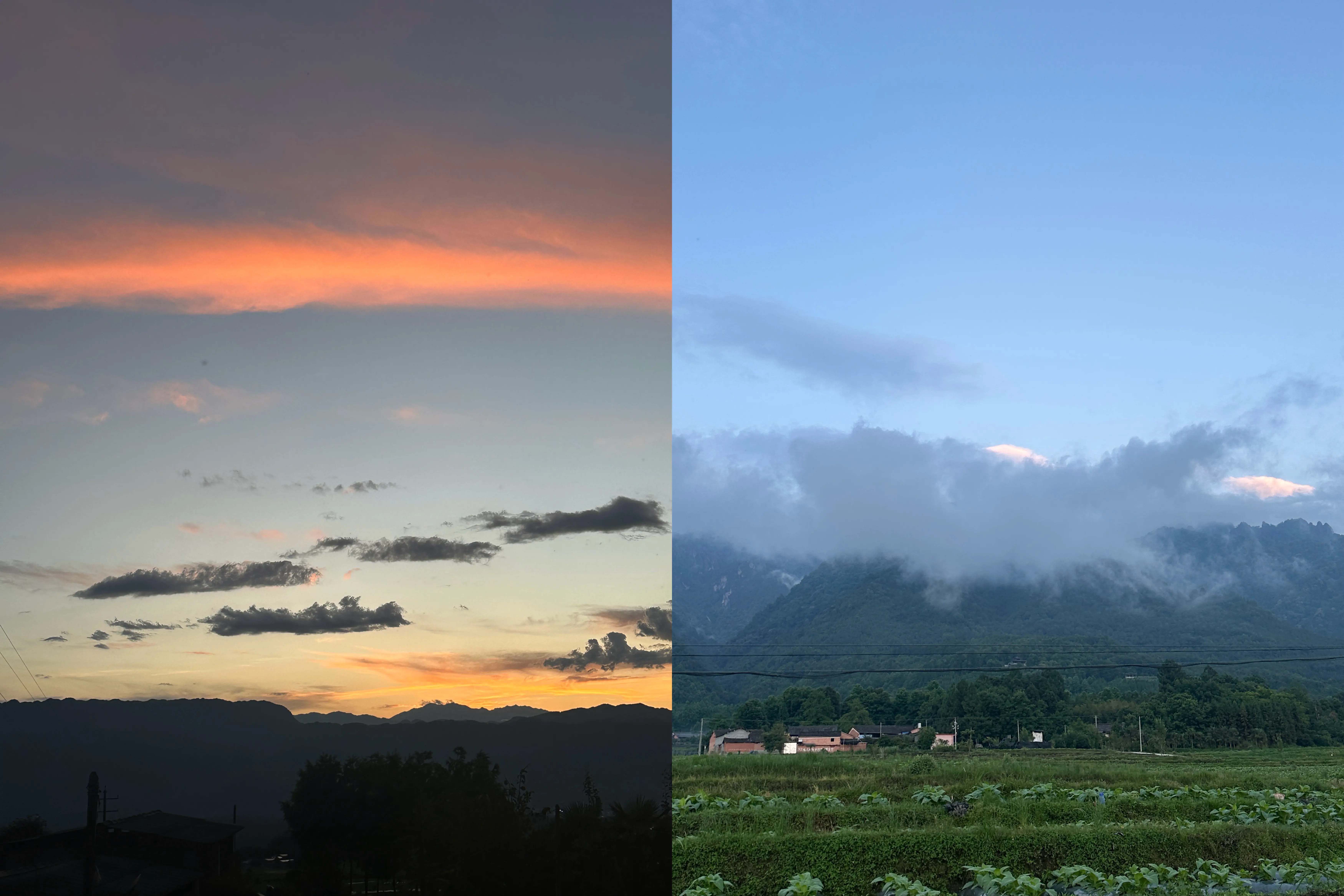 An image to describe post