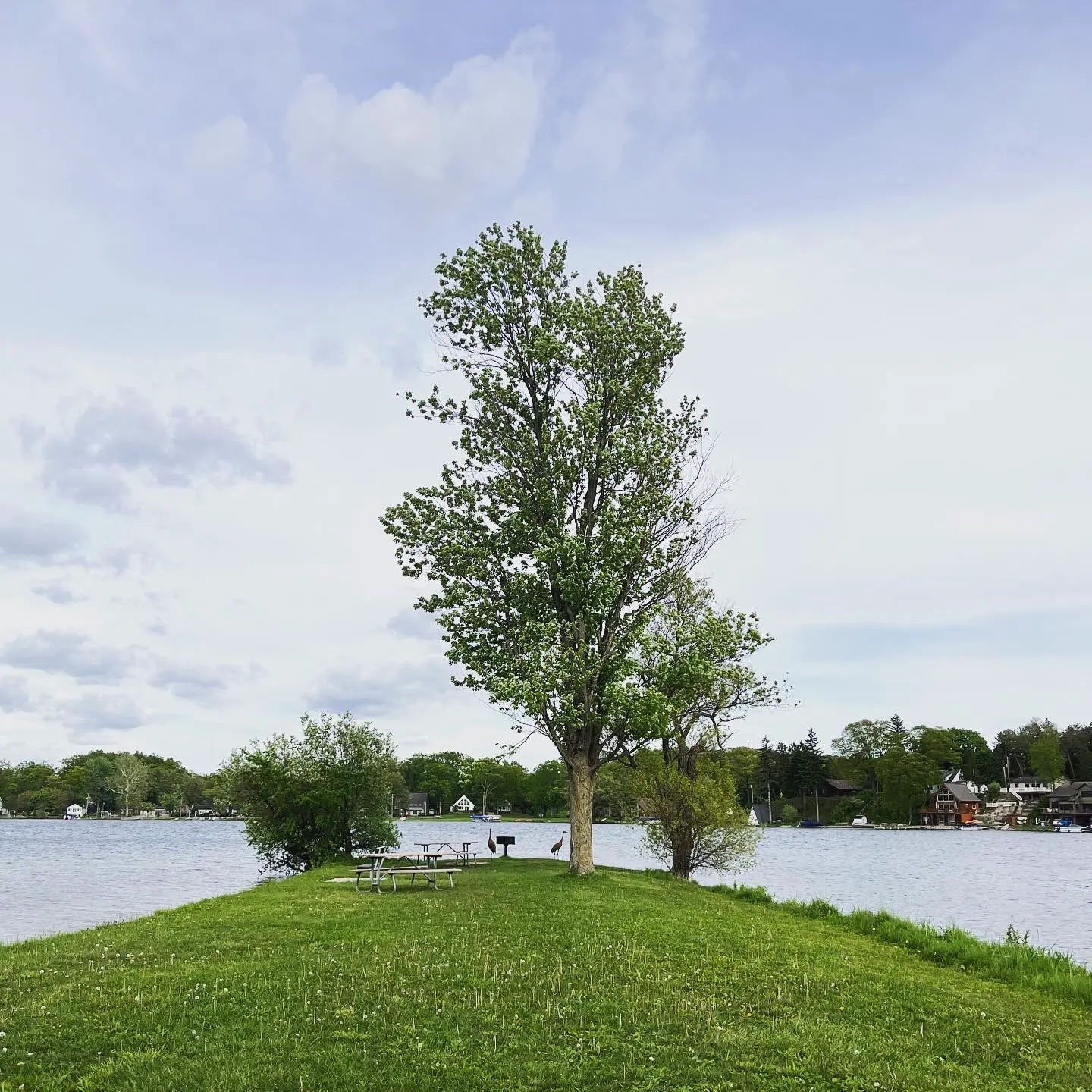 Issue#12 多重想象——夏日协同写作3 ：《忧郁的热带》