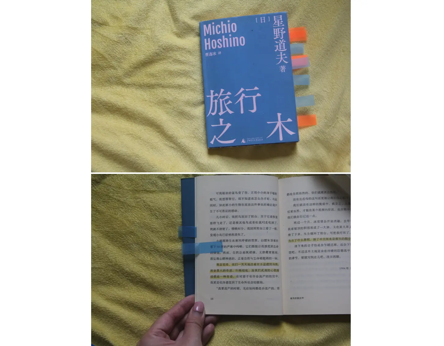 An image to describe post