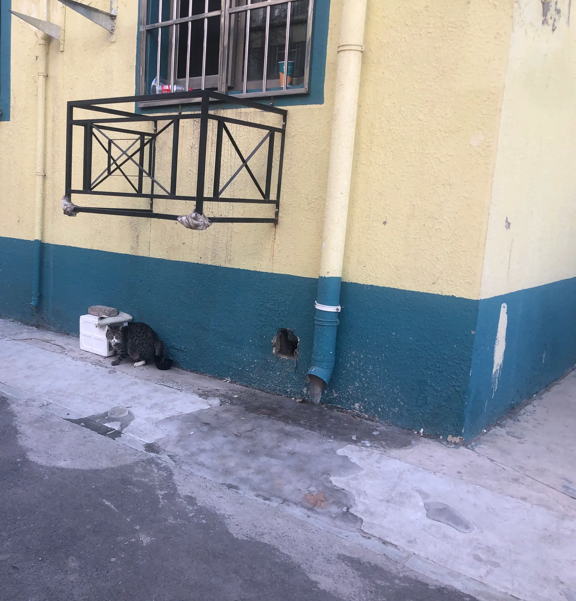 An image to describe post