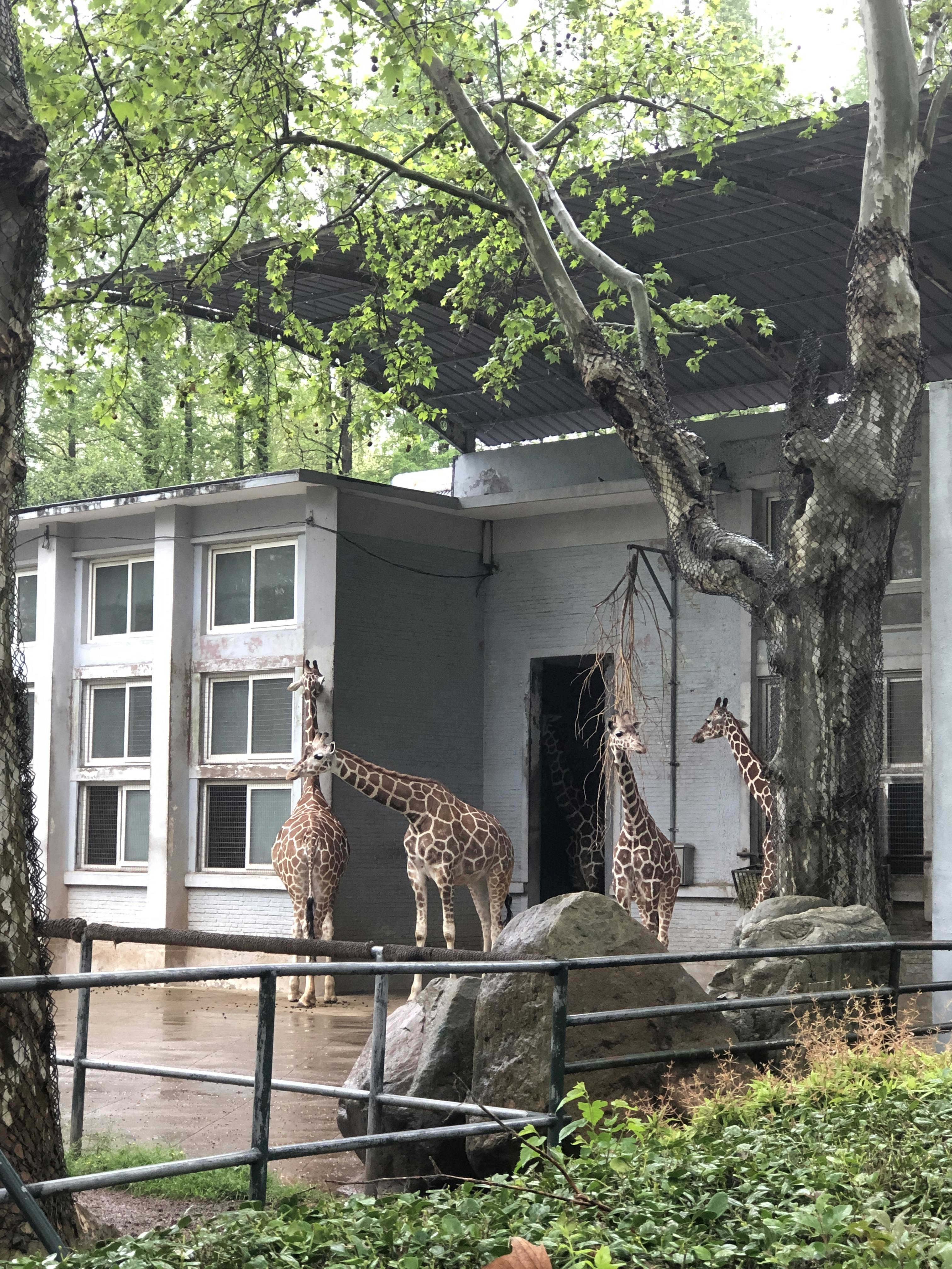 An image to describe post