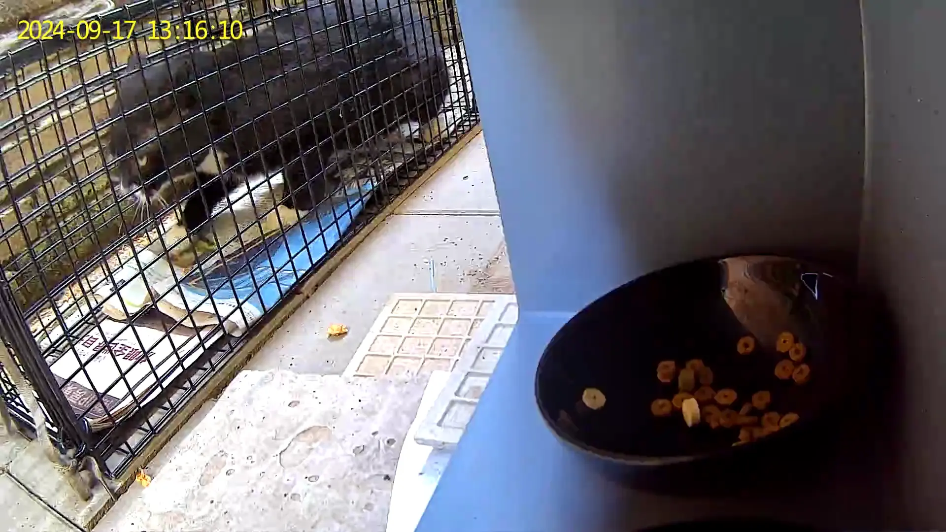 An image to describe post