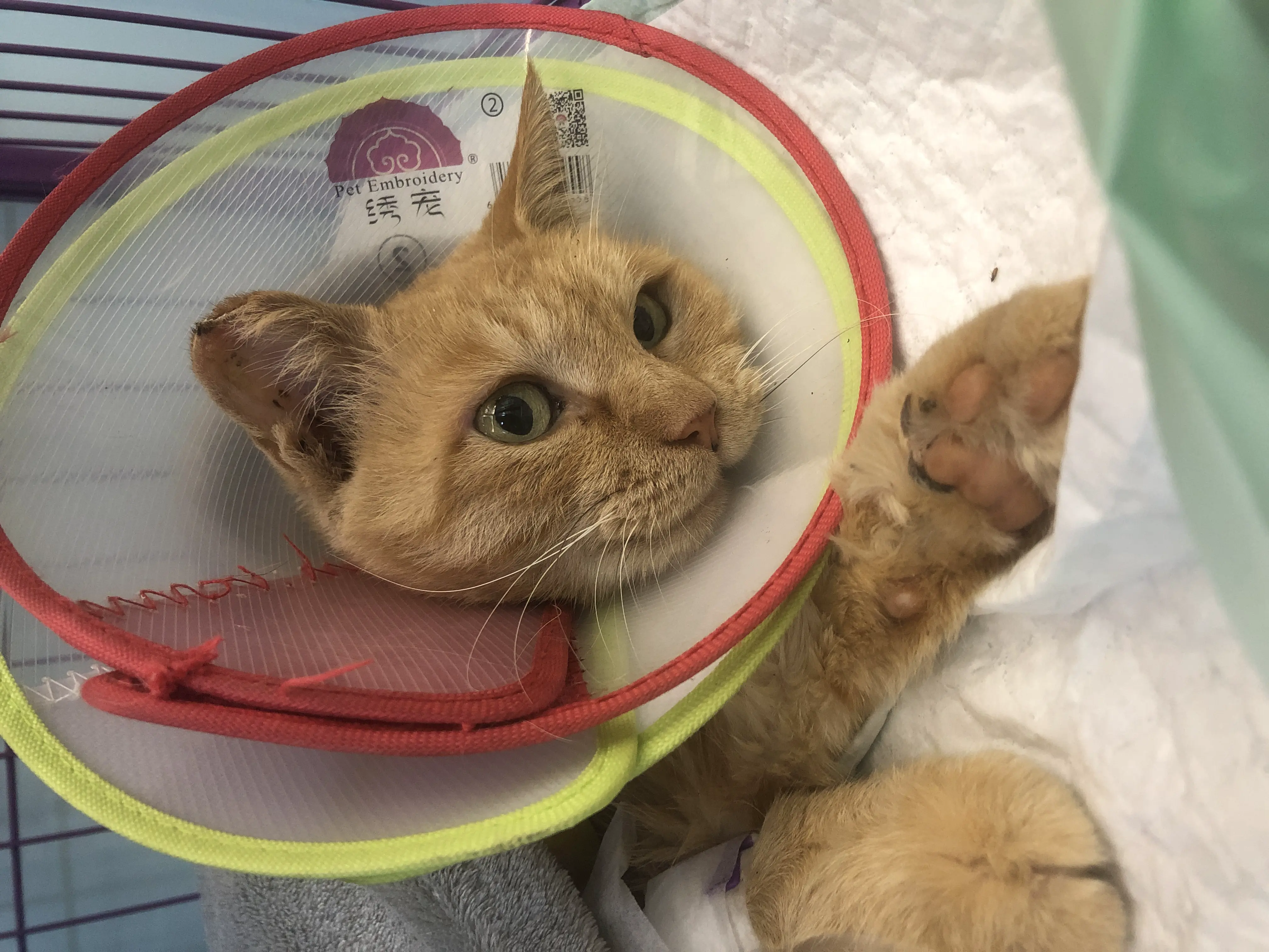 An image to describe post