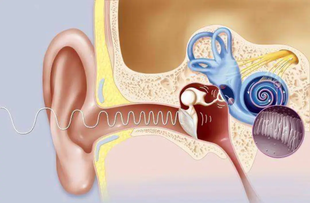 An image to describe post