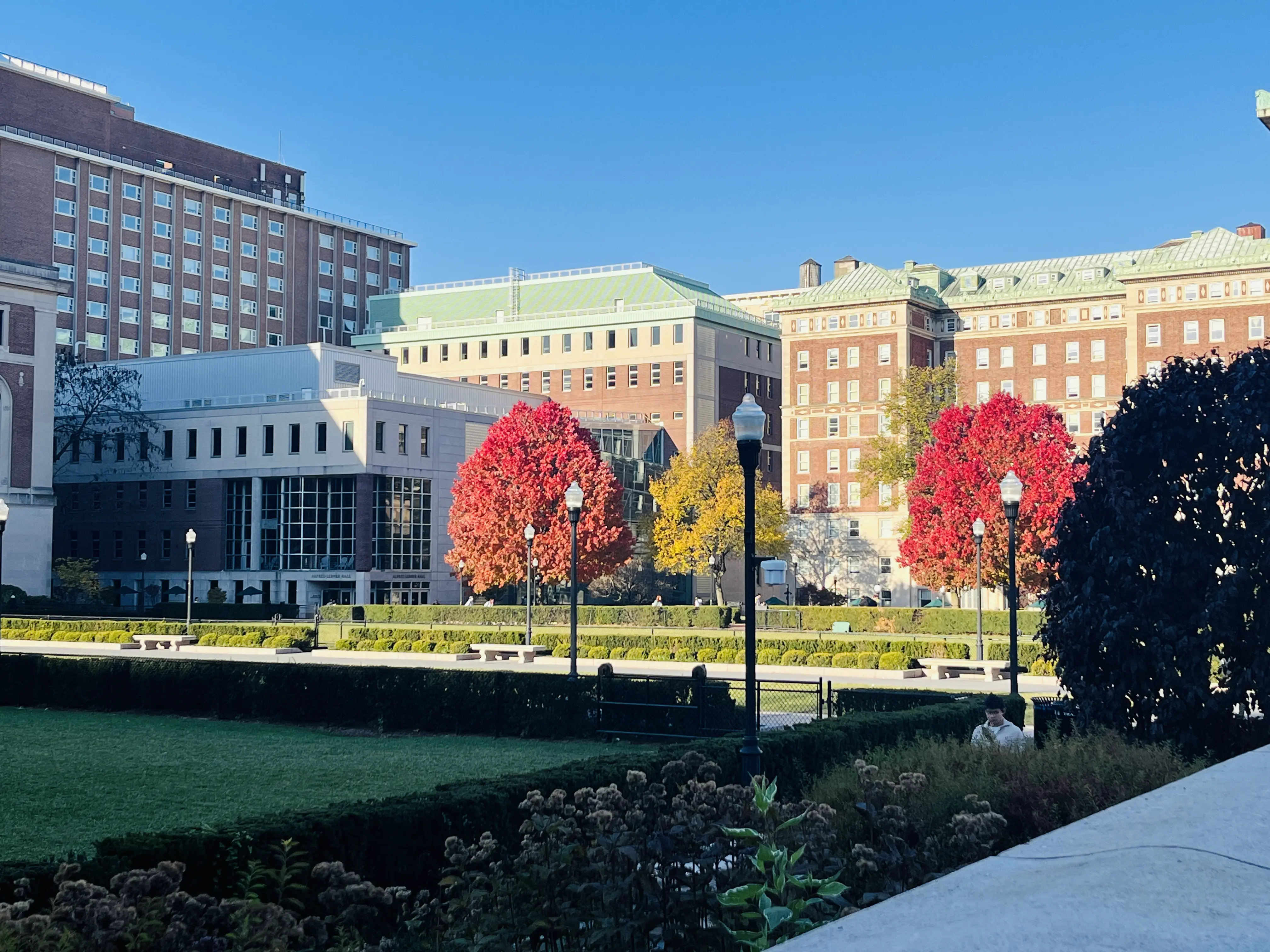 An image to describe post