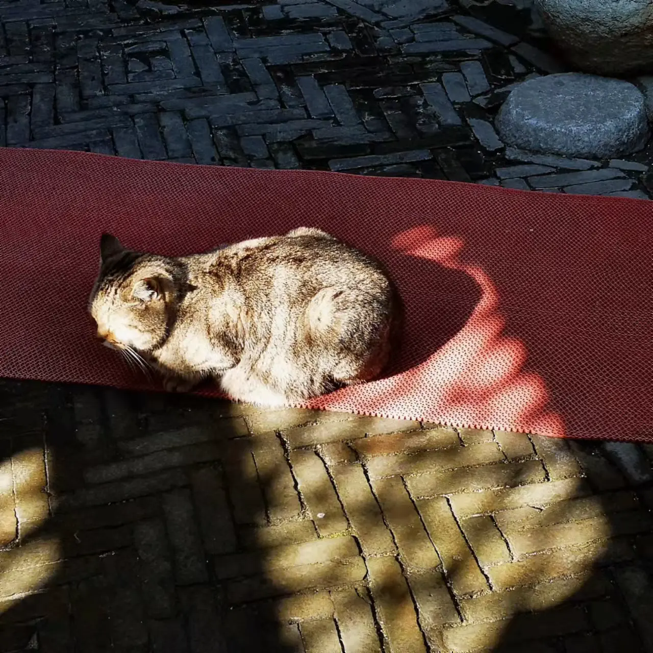 Semi-paranoid #2 过载的不只是信息，还有知识和功能