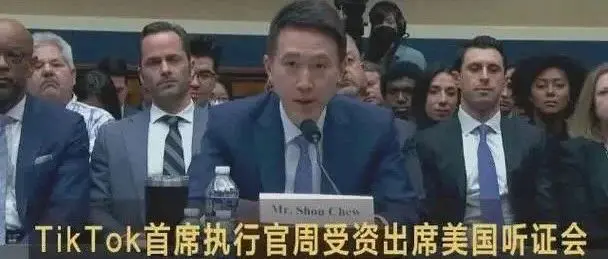 TikTok在美国被欺负惨了，应该像大熊猫丫丫一样接回祖国！