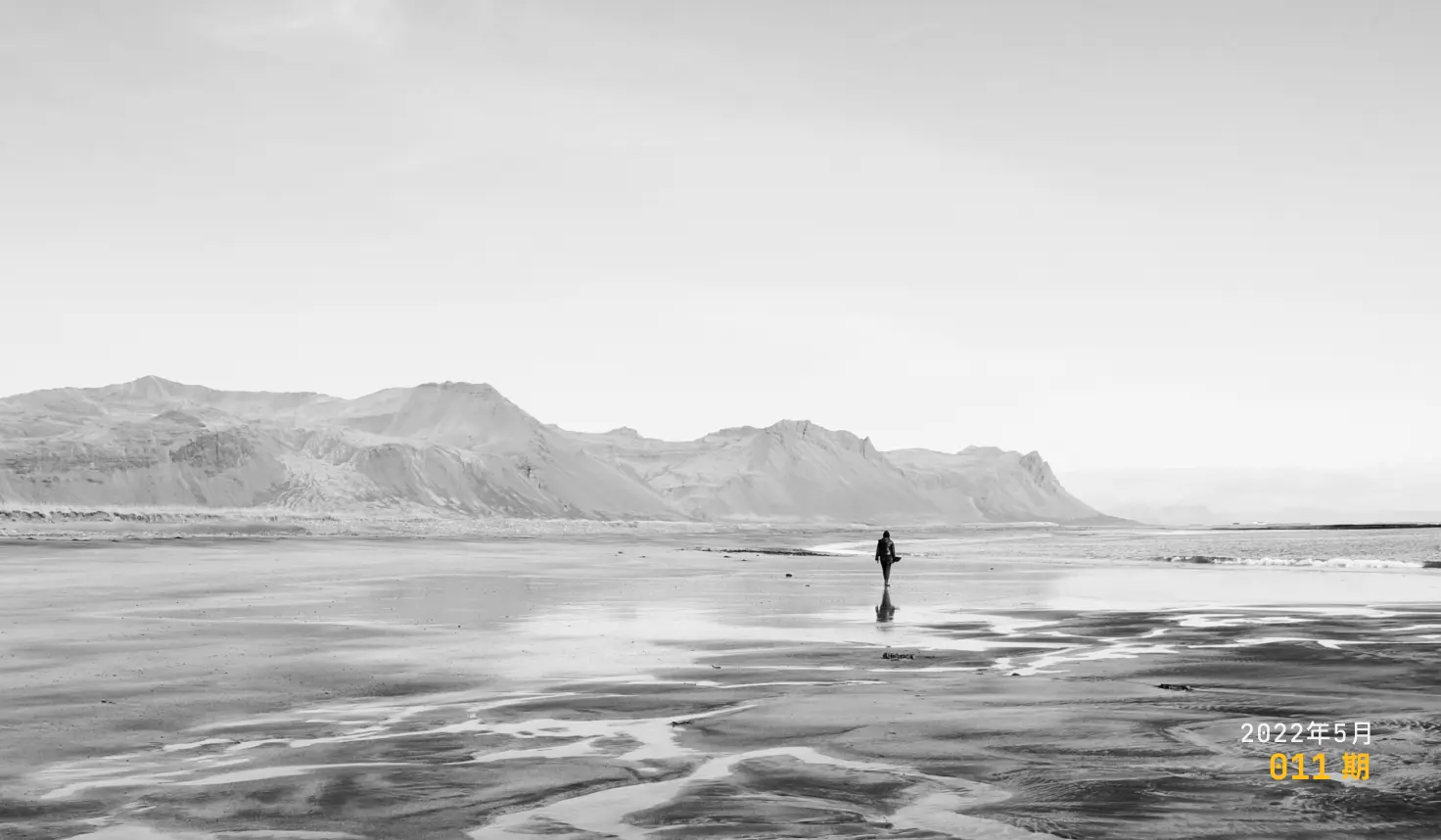 Moonvy 月维设计素材周刊 第 011 期