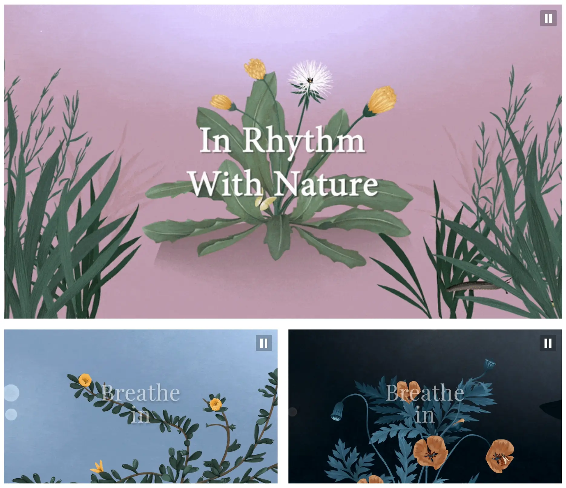 An image to describe post