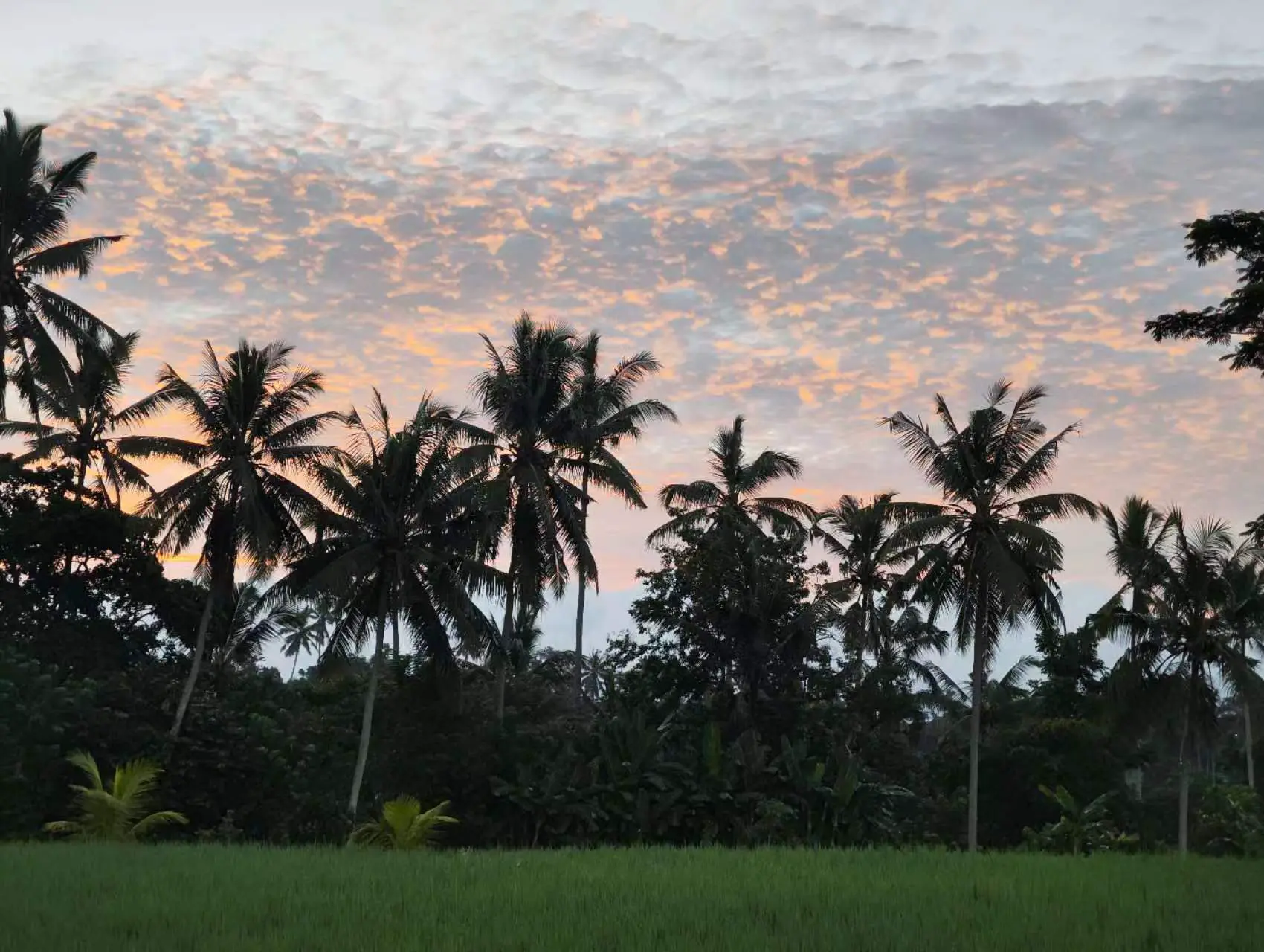 An image to describe post