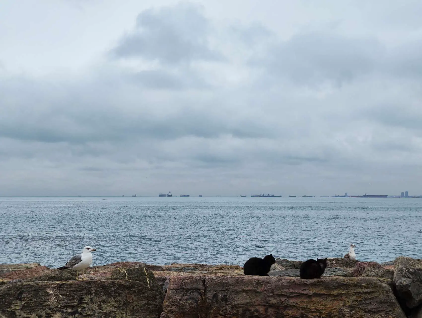 An image to describe post