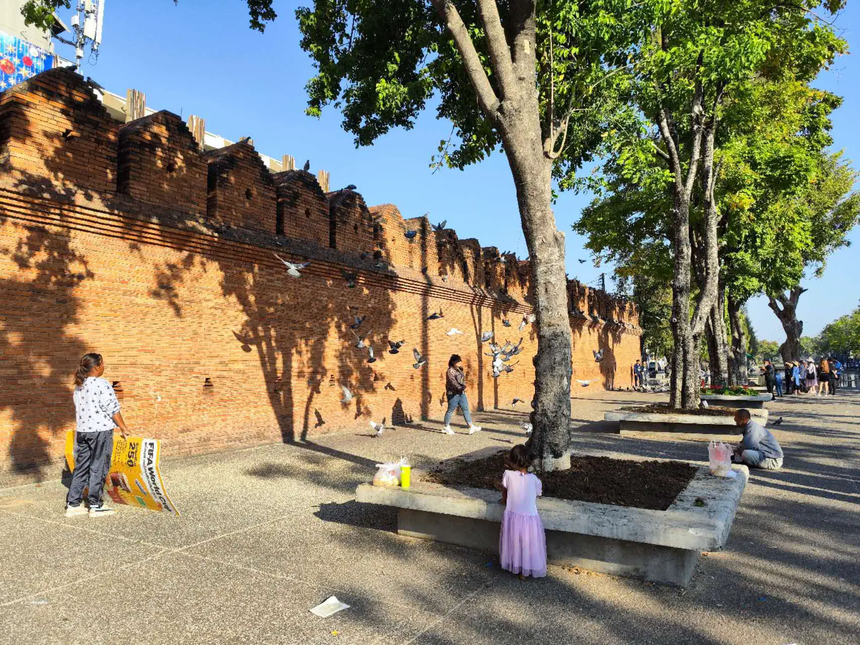 An image to describe post